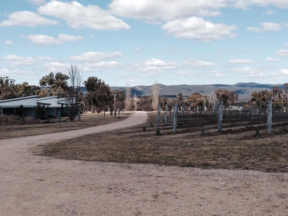 A gravel driveway leads through a rural landscape with a vineyard on the right and a small building on the left. There are leafless trees and rolling hills in the background under a partly cloudy sky.