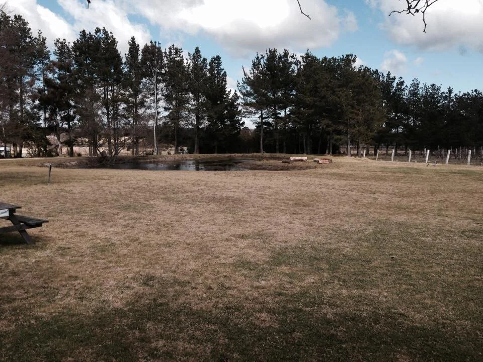 A grassy park area with a small pond in the background, surrounded by trees and a wooden fence, under a partly cloudy sky.