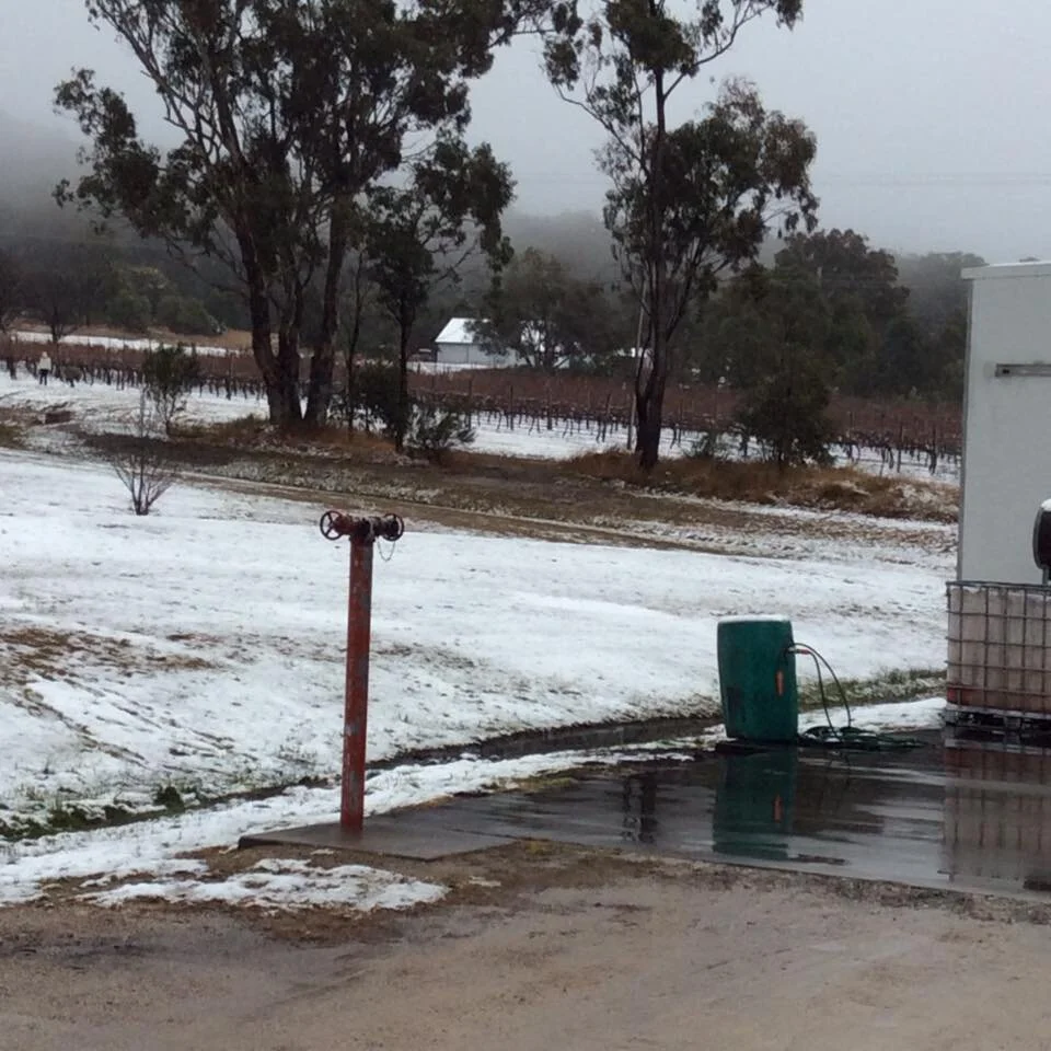 Snow-covered ground with trees and a rural landscape. There is a red hose reel, a green garden watering container, and a white utility vehicle in the scene.