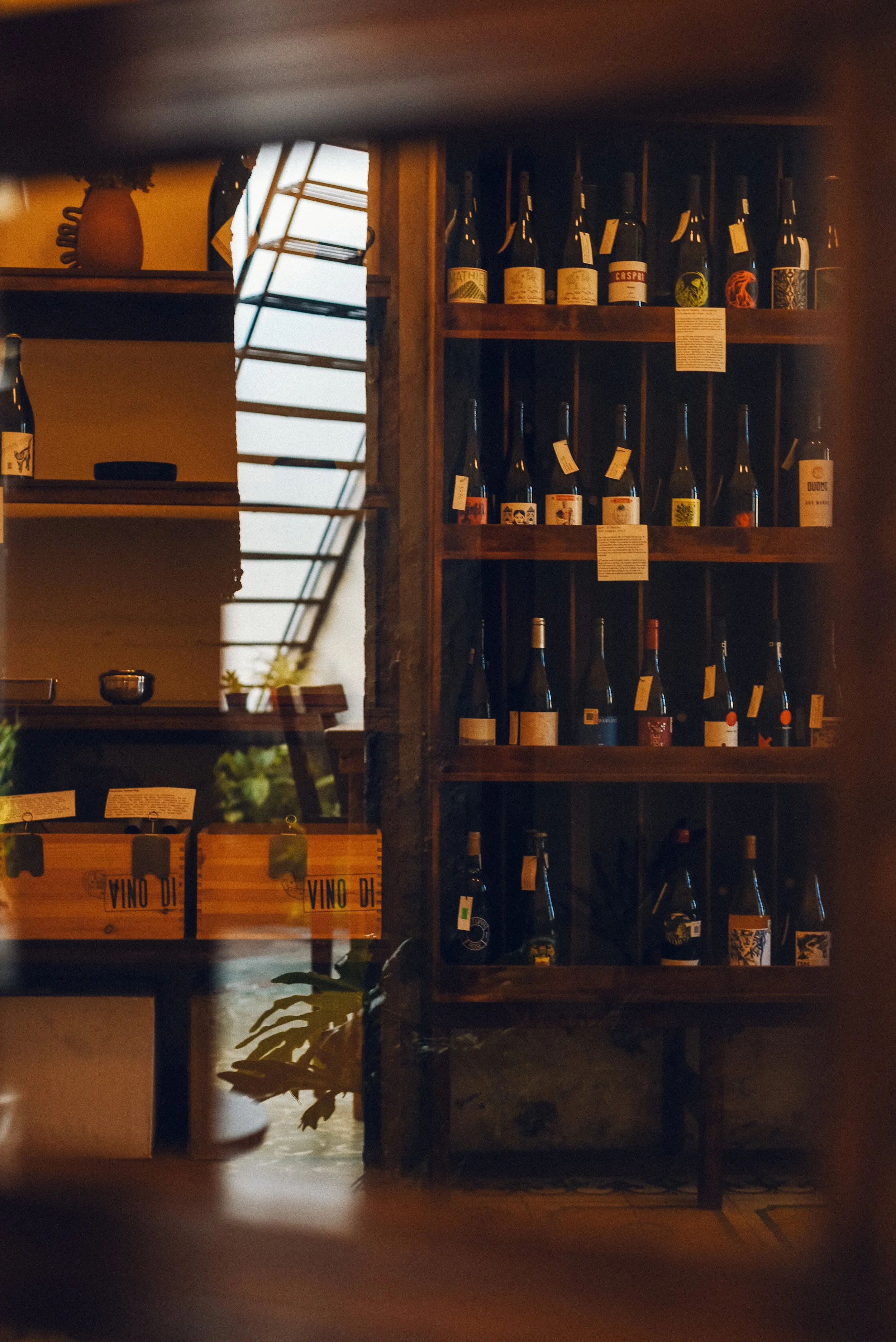 Paula-Deli-52.jpg