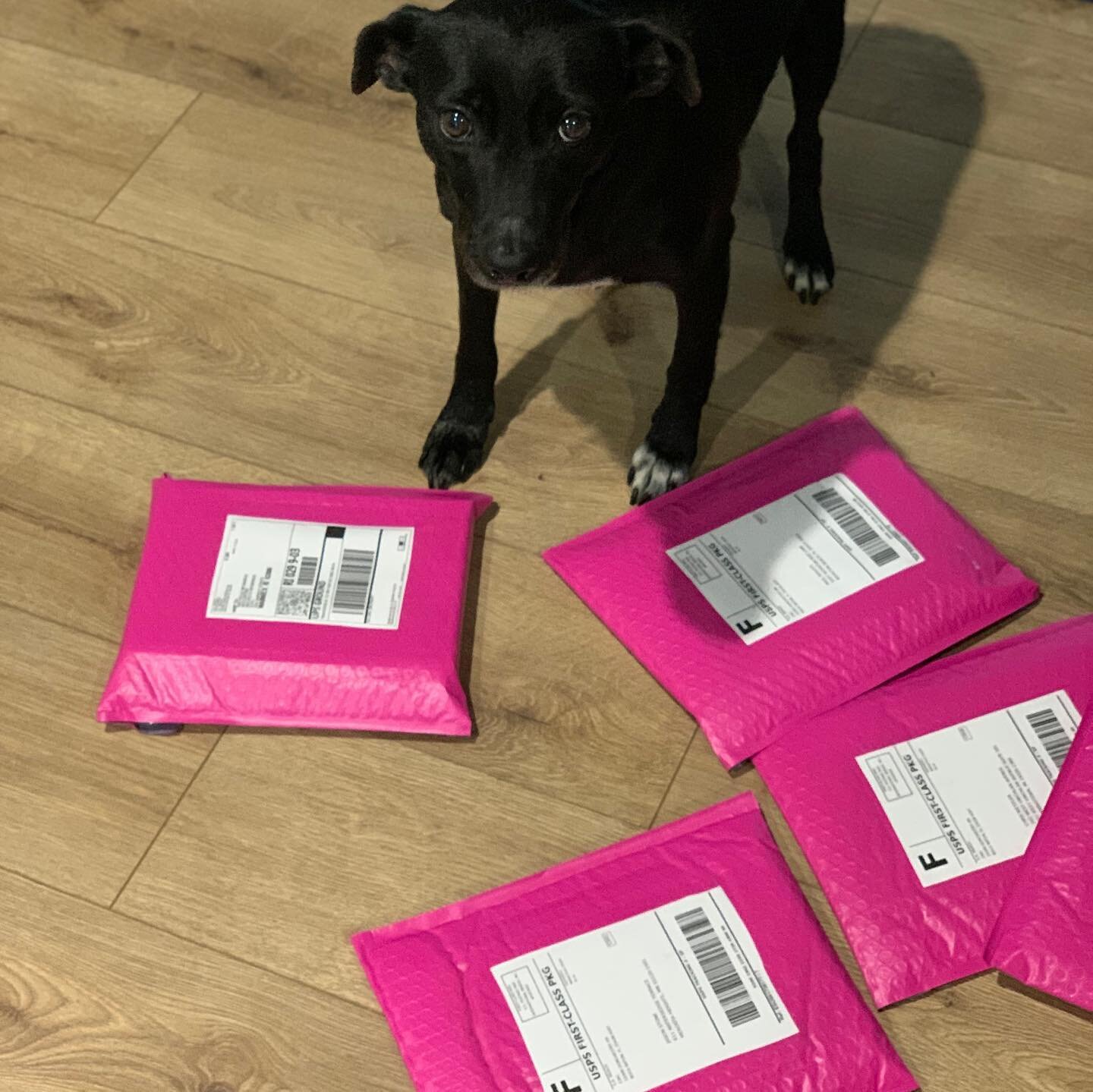 Tessie performing her quality inspection of the book orders shipping out today.  This means more donations for @100plusevergladesrescue !  We thank you and appreciate the support!  #tessieandlolasavethedogs #100plusabandoneddogs #booksofinstagram #mi