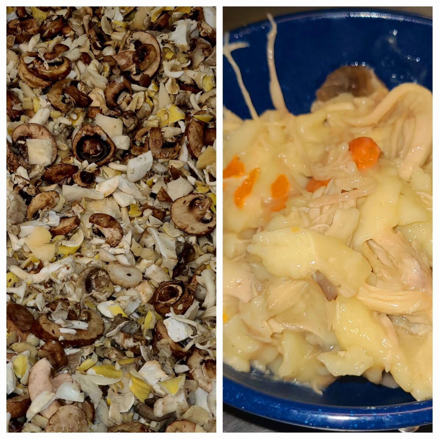 An early picture of the mushrooms that were cooked into the finished main dish of turkey and noodles with veggies and mushrooms. 
It's what's for dinner!