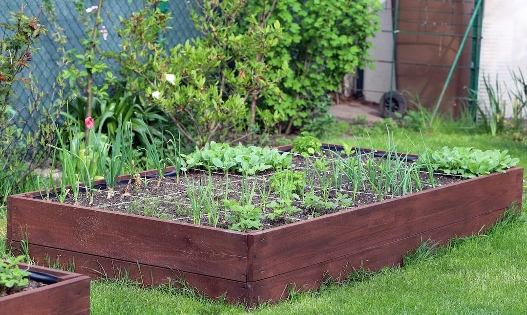 If you have a vegetable garden getting a light sprinkle this morning, know that we welcome and appreciate fresh produce here for our meal services. If you have extra produce beyond what you want or will use, please consider donating it here. We will 