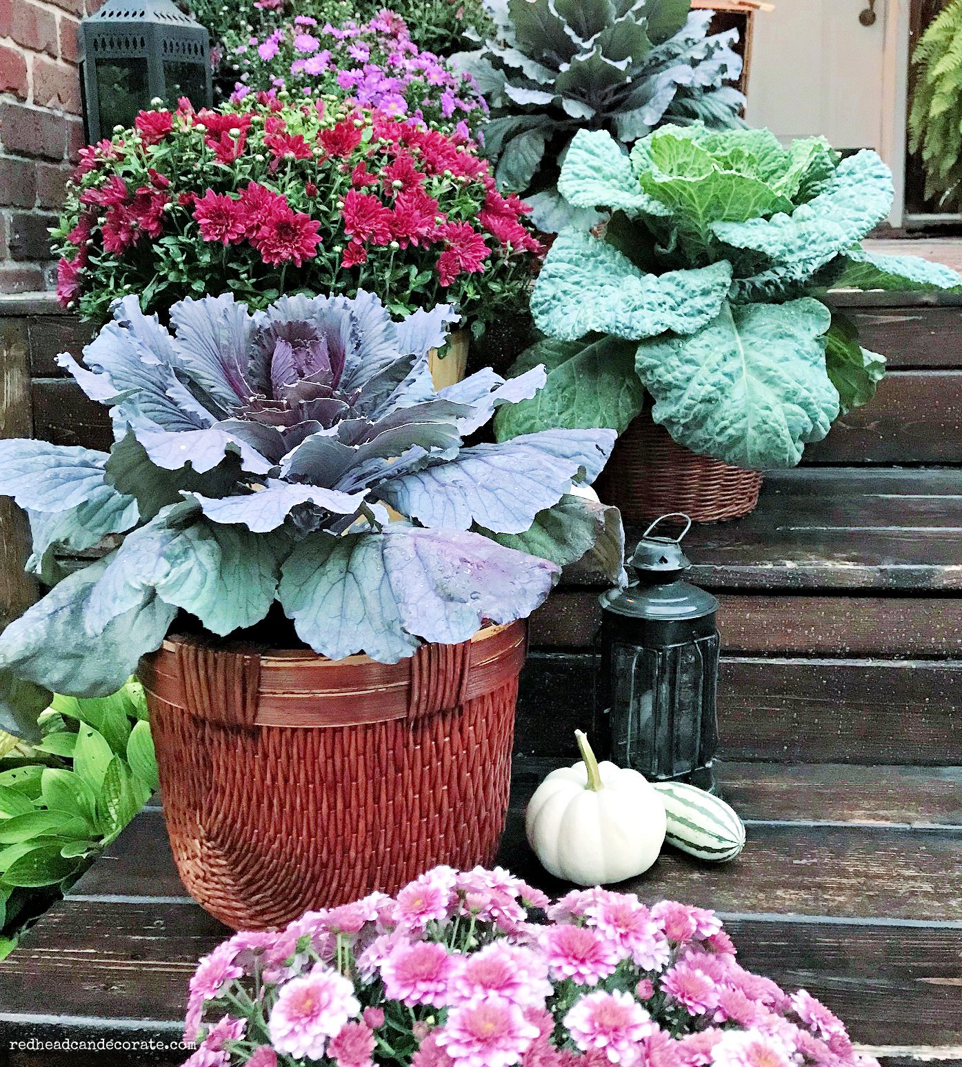 Fall Flower Sale