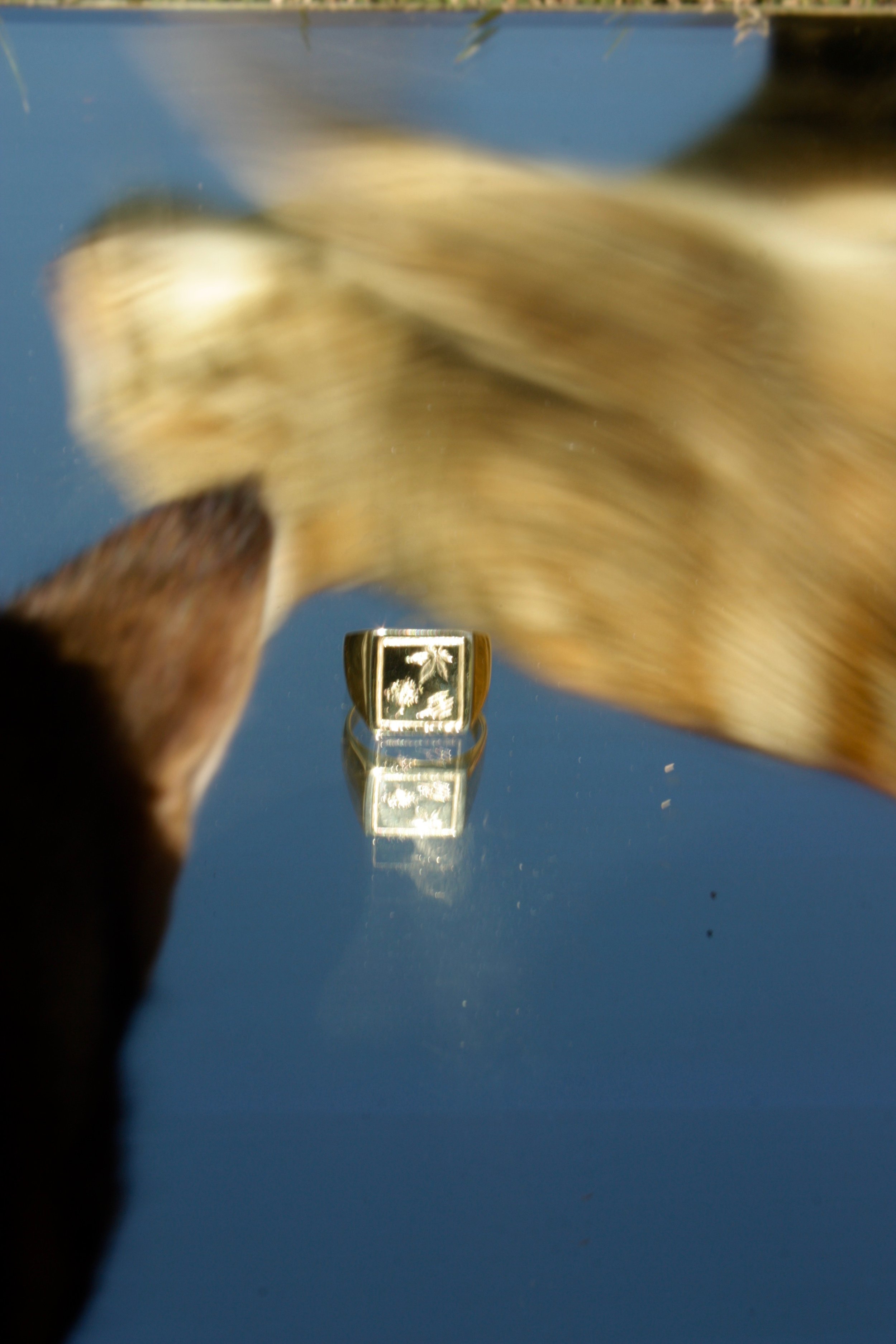 IMG_5403.jpeg