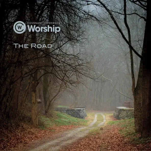 the road.webp