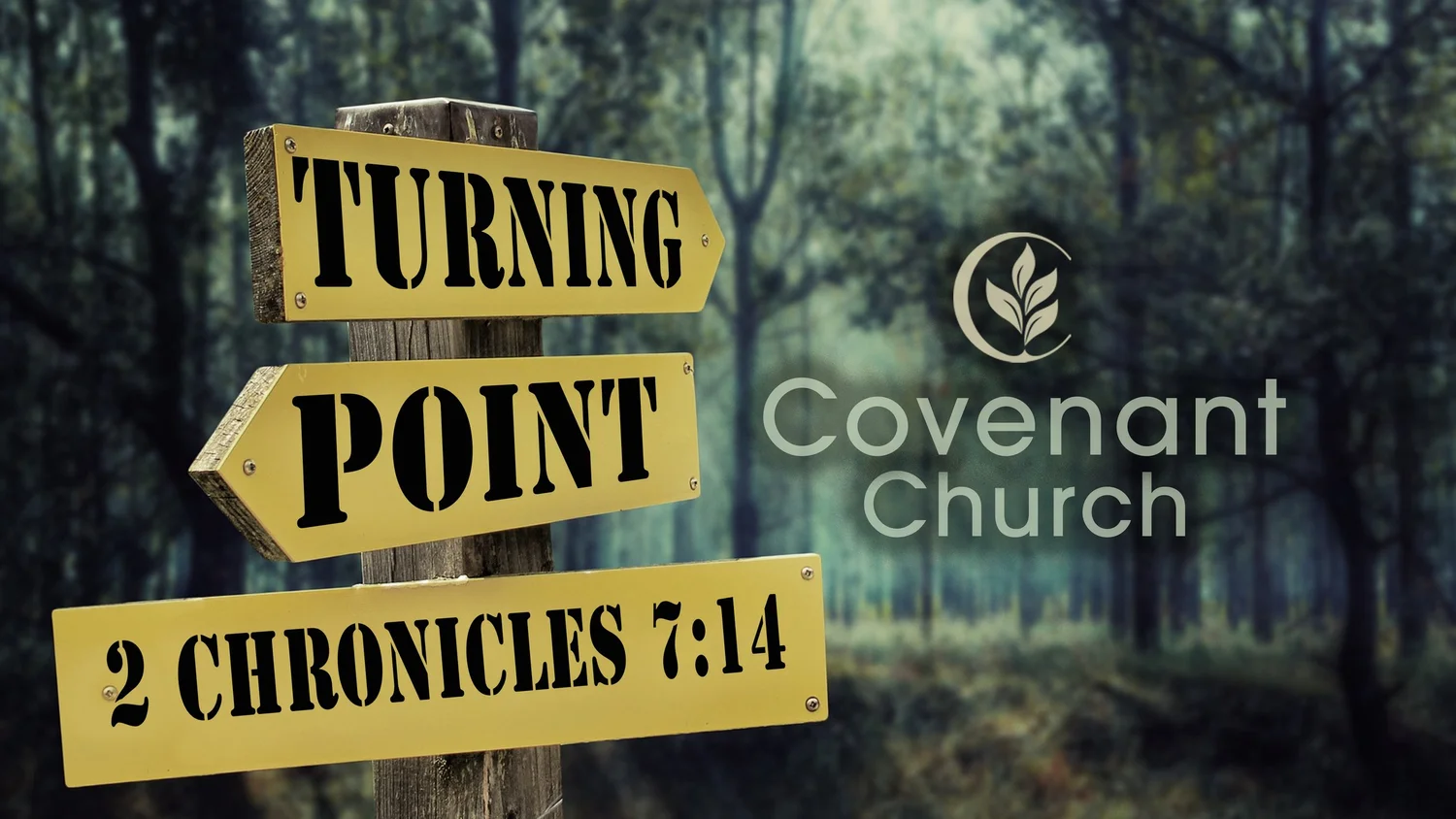 Turning Point episode artwork