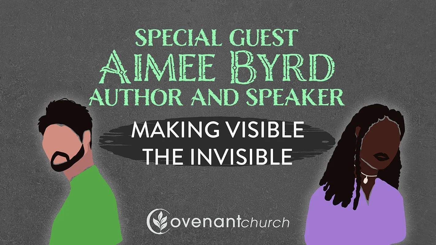 Making Visible the Invisible episode artwork