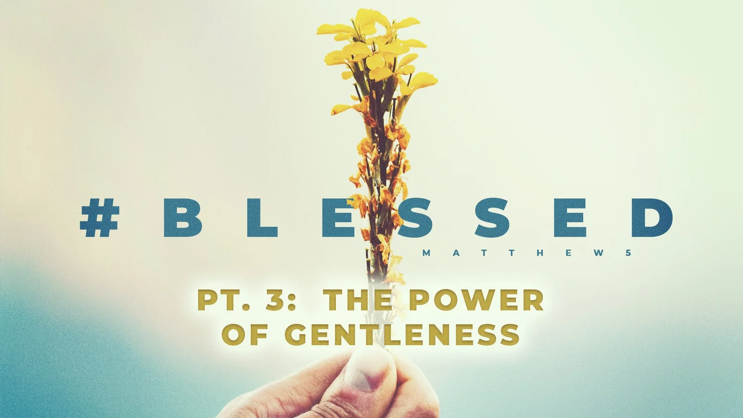 #Blessed - Pt. 3: The Power Of Gentleness episode artwork