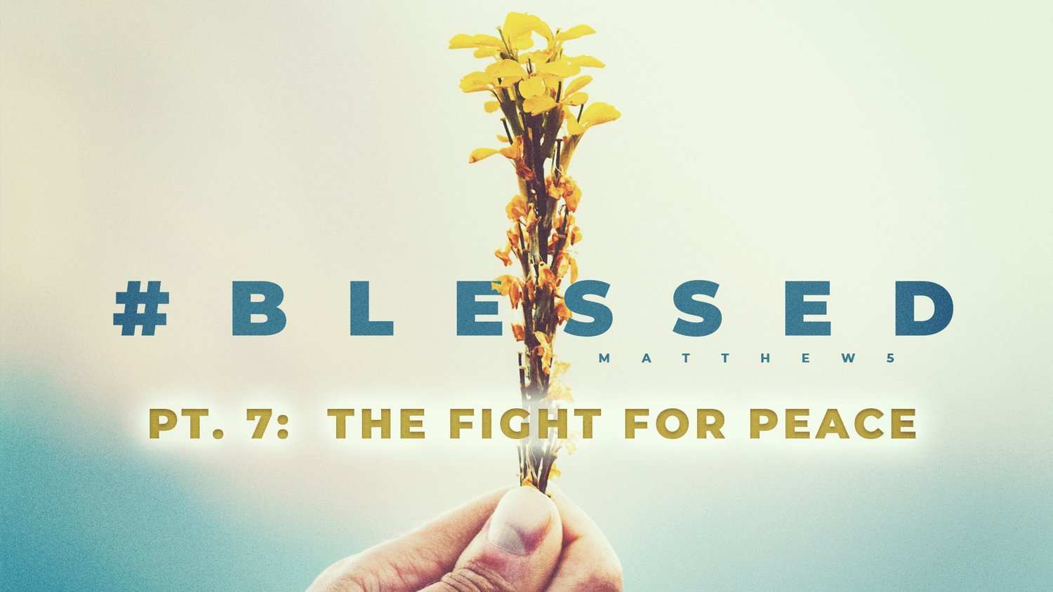 #Blessed - Pt. 7: The Fight For Peace episode artwork