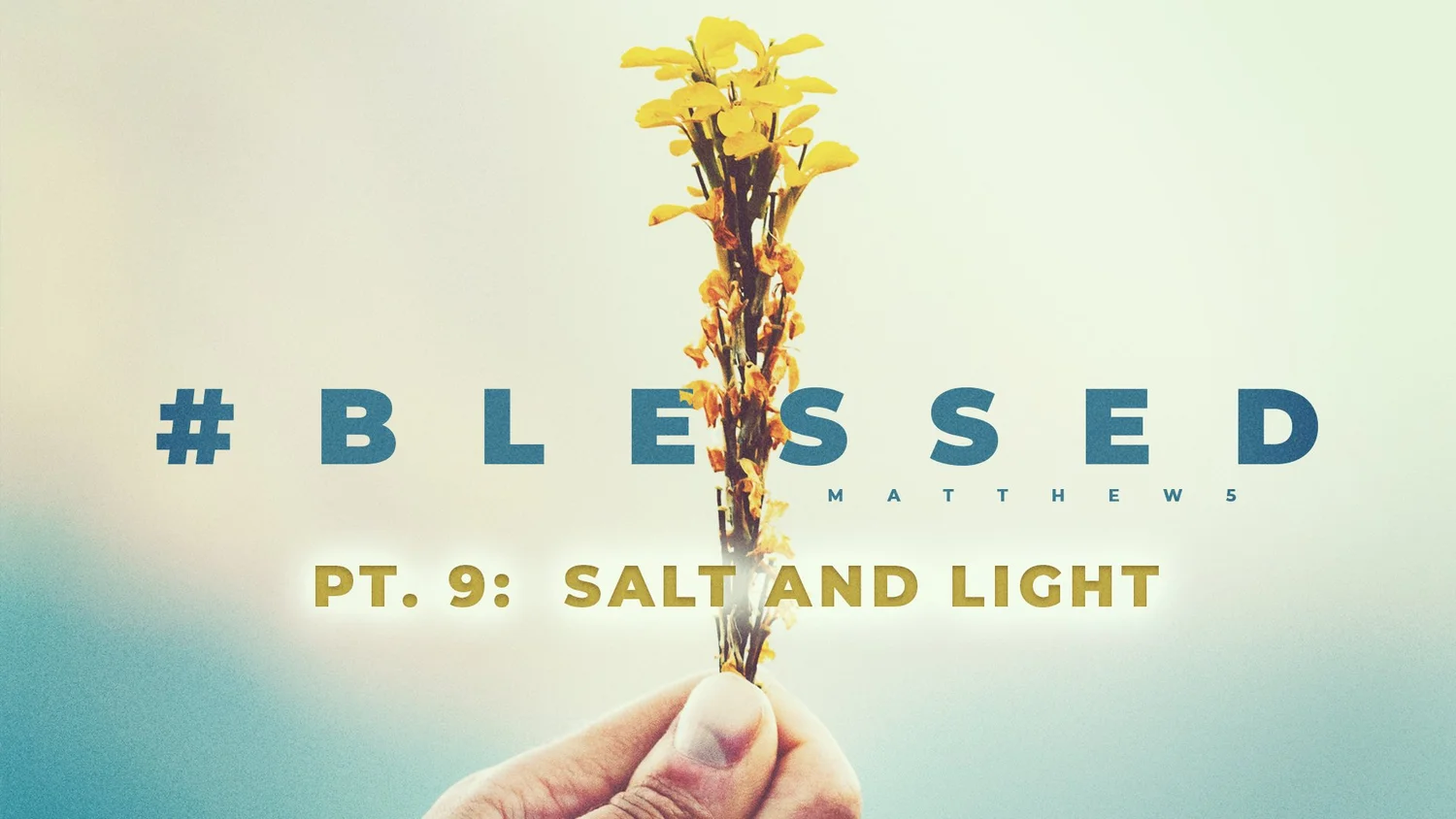 #Blessed - Pt. 9: Salt and Light episode artwork