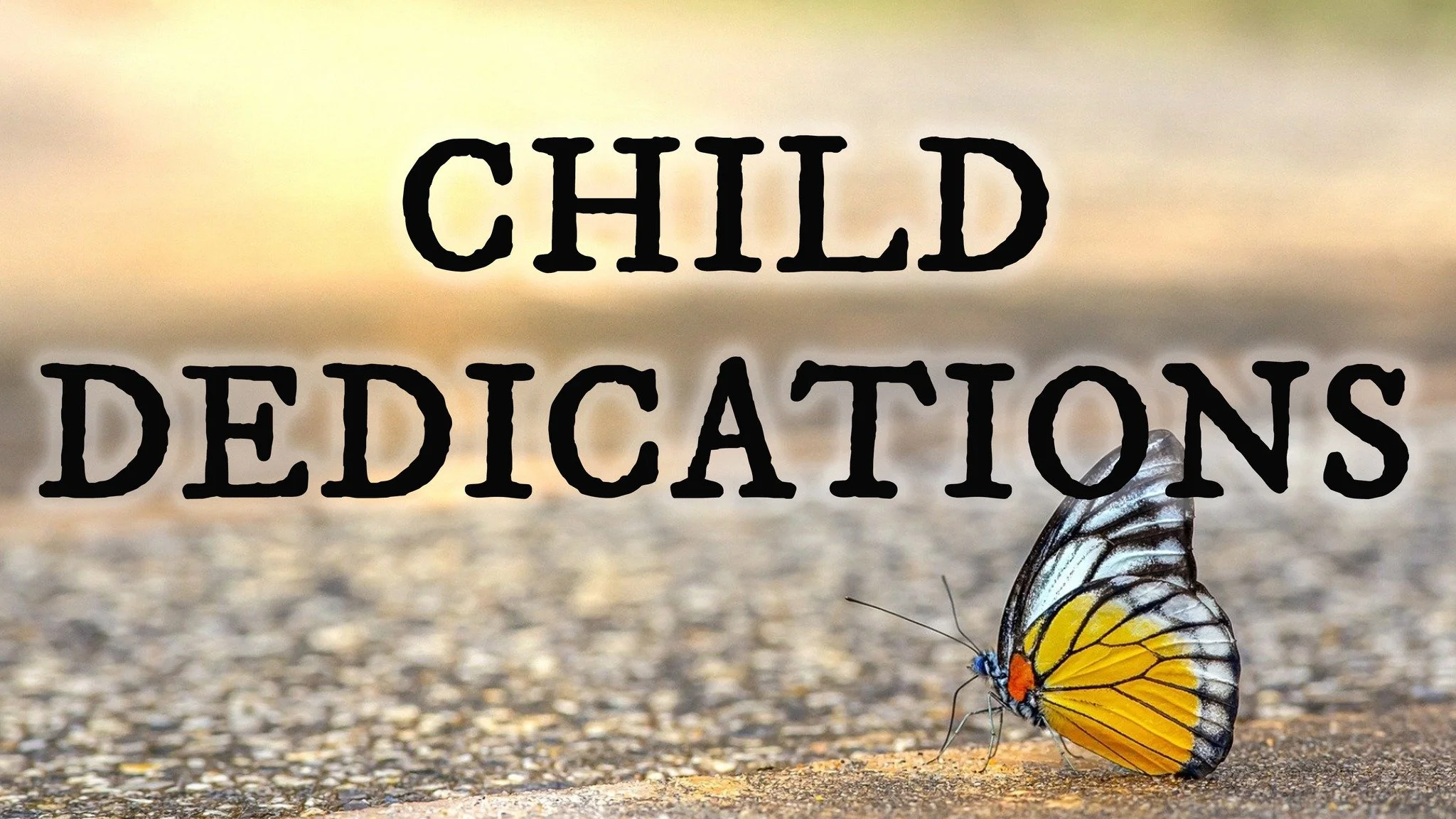 Child Dedications are November 30th during our Unity Service at 10AM!

Sign up by 11/22 at https://covenant-group.churchcenter.com/registrations/events/3259135