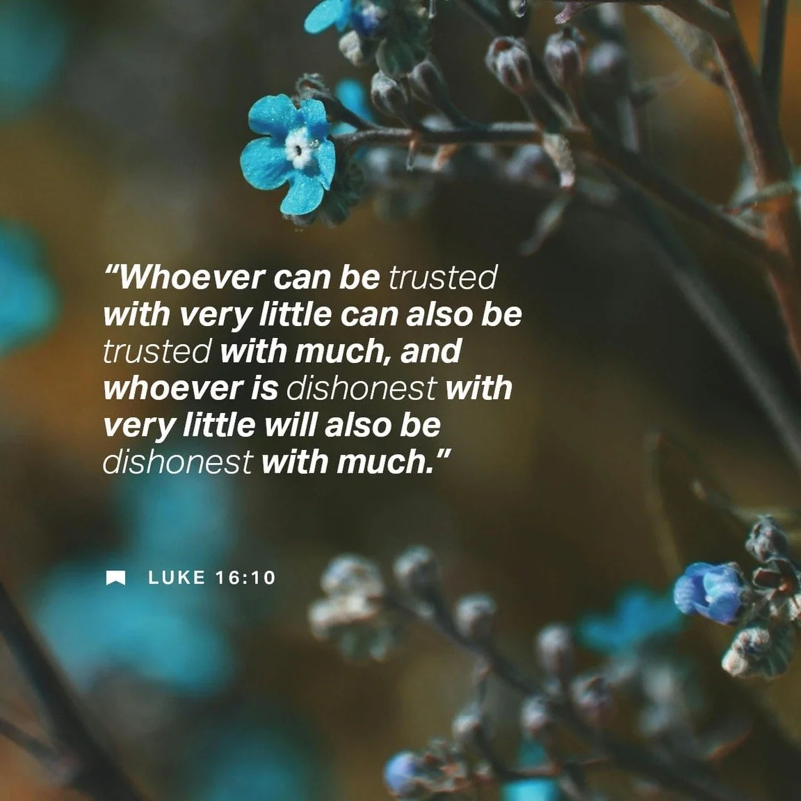 What if Jesus told you to be more shrewd with your money?

Wait&hellip;what?

That&rsquo;s exactly where Jesus takes us in Luke 16.

It&rsquo;s a story that seems strange at first.
A manager makes some questionable decisions&mdash;and somehow Jesus u