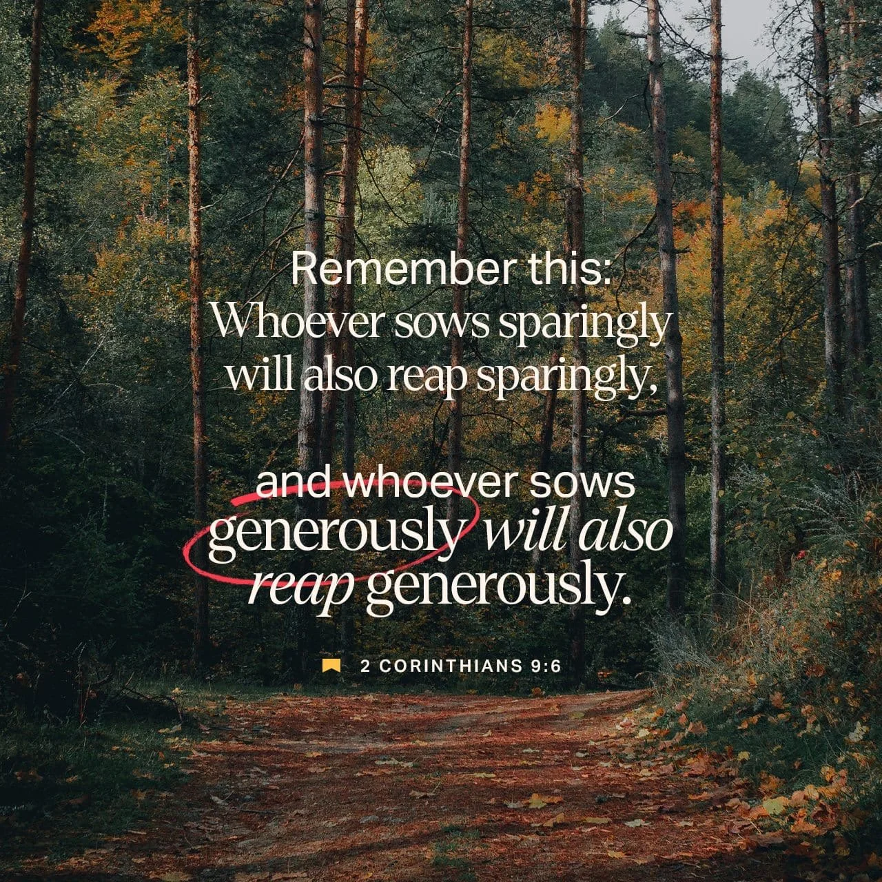 What if generosity isn&rsquo;t about having more&mdash;but about using what you already have for something bigger than yourself?

This Sunday, we&rsquo;re wrapping up our FREEDOM series by looking at the Bible&rsquo;s vision for generosity&mdash;and 