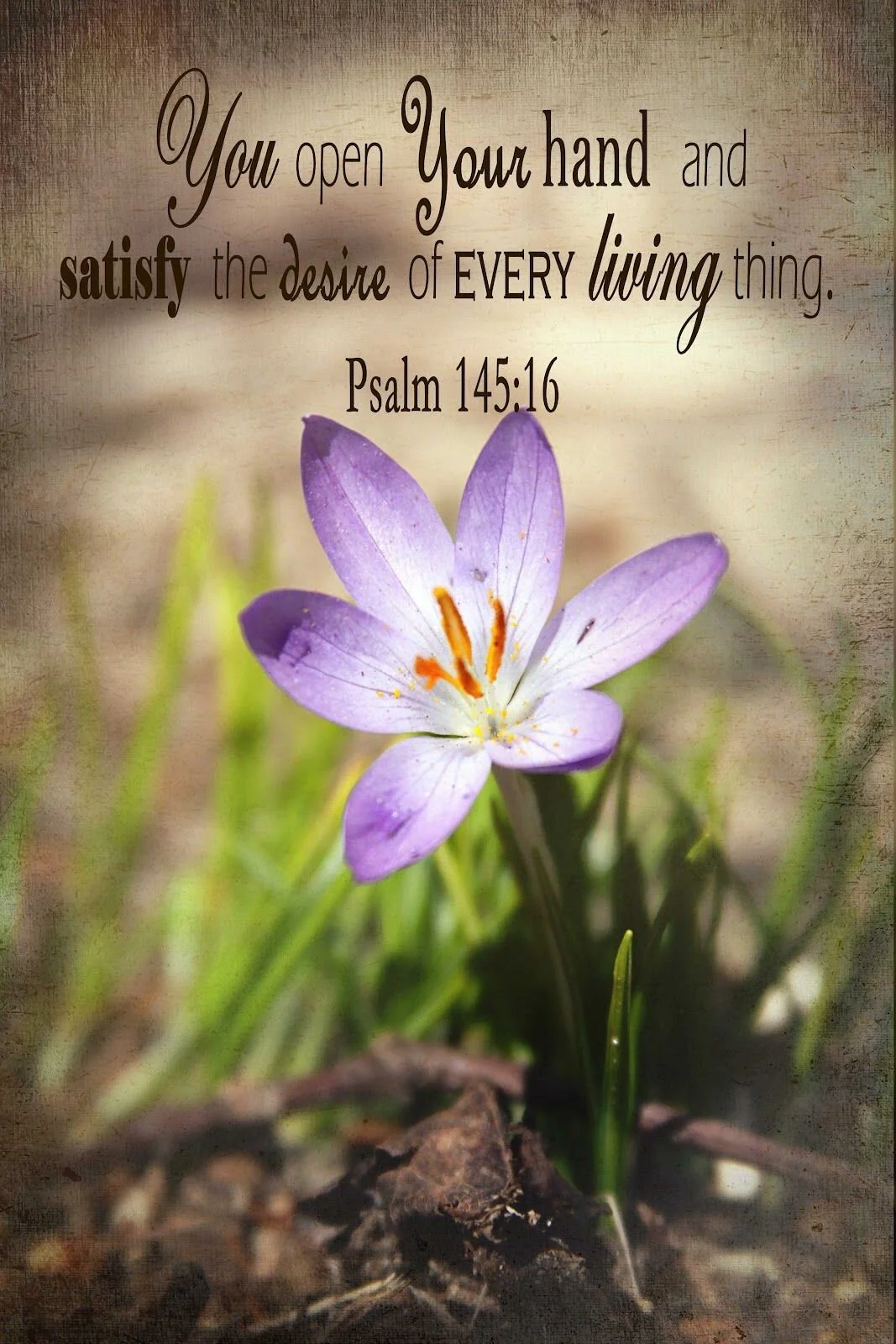 The Lie: "The World Will Satisfy"  The Truth: "None But Jesus"