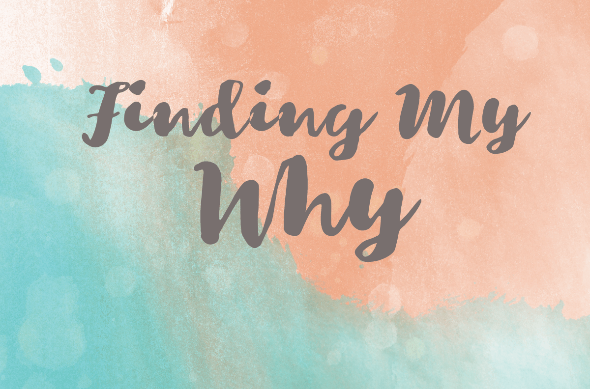 Figuring out the Why...