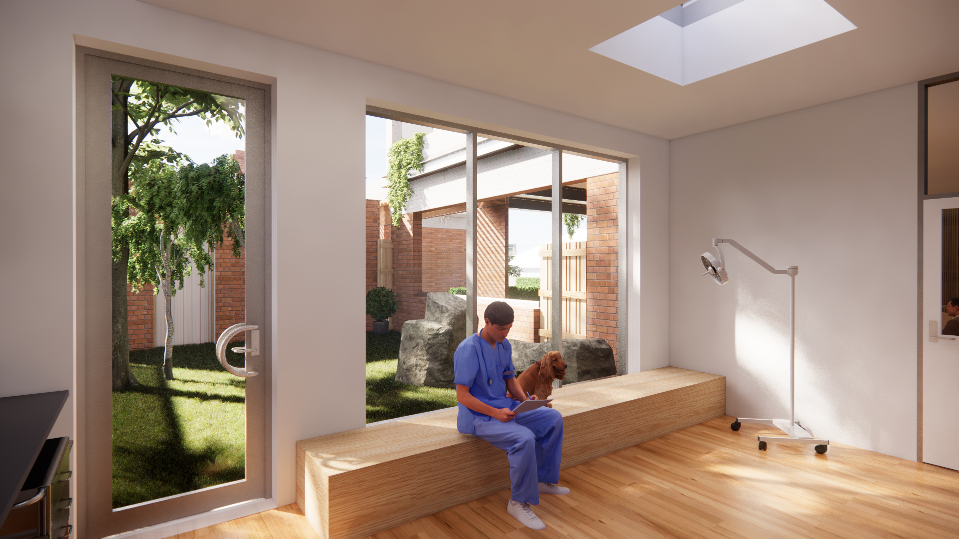 Large Canine Consulting Room