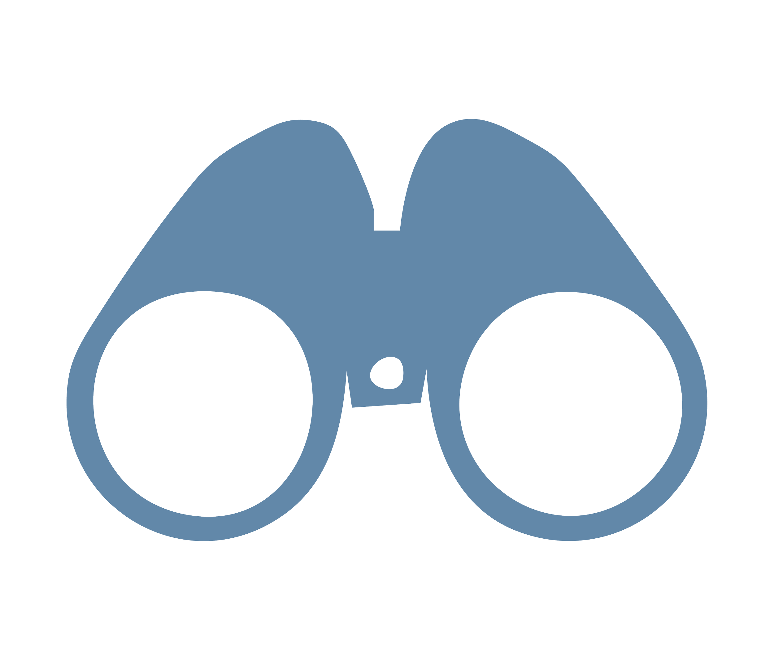 Website Design Package binoculars icon by Mauka Creative