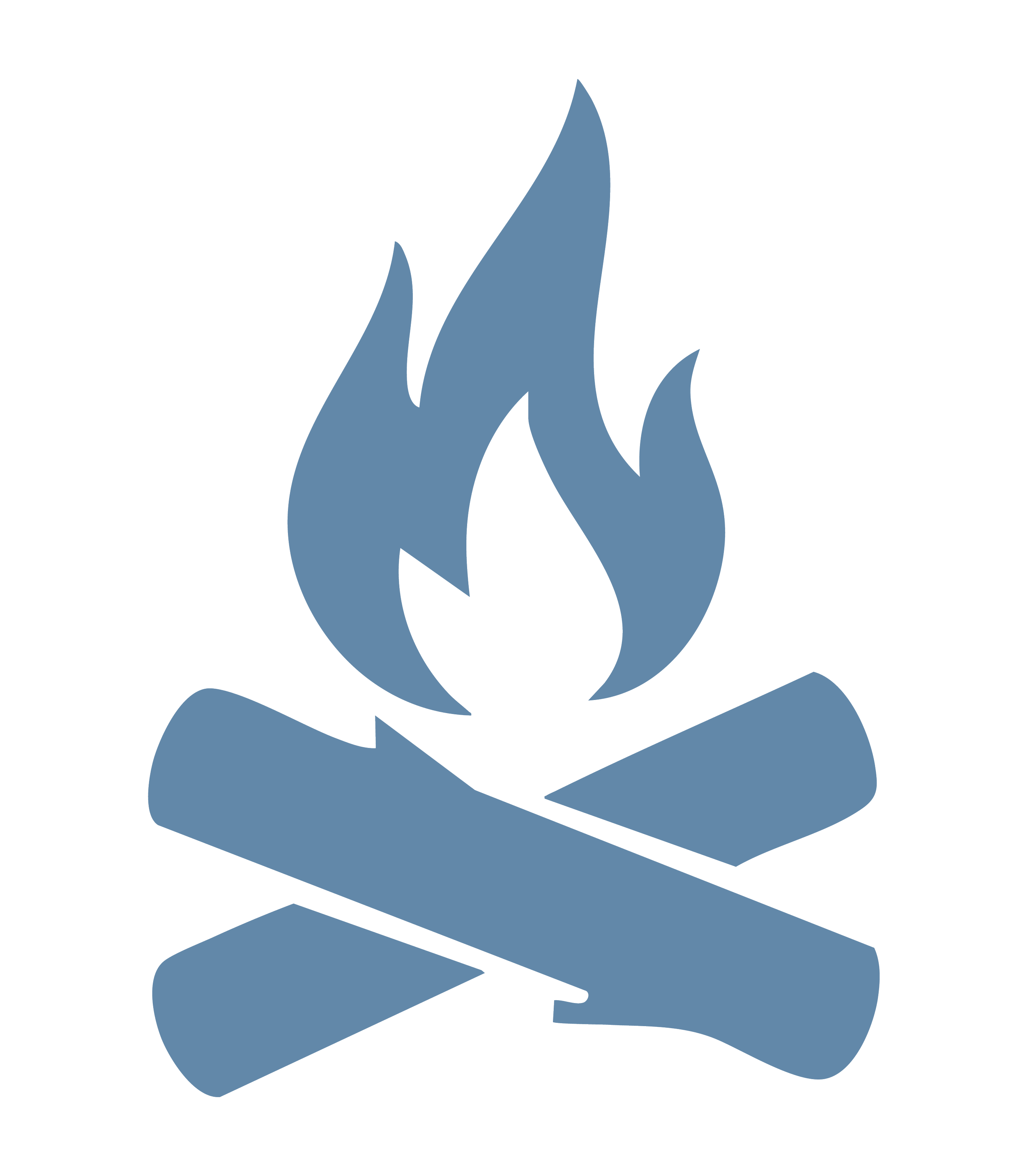 Website Design Package campfire icon by Mauka Creative