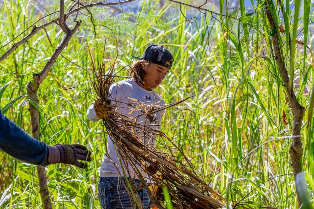 MAUI NOW - Pandemic Stimulus Puts Machete-Wielding Employees to Work at Waiheʻe Refuge