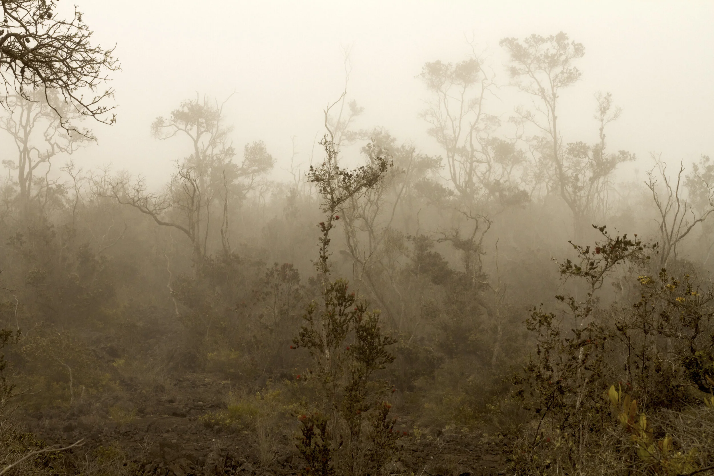 HONOLULU STAR-ADVERTISER - Column: Legacy Lands Program Marks 15 years of Protecting Nature