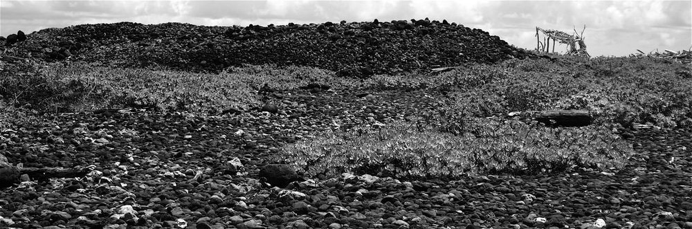 Ka Moʻolelo o Waiheʻe — Hawaiʻi Land Trust