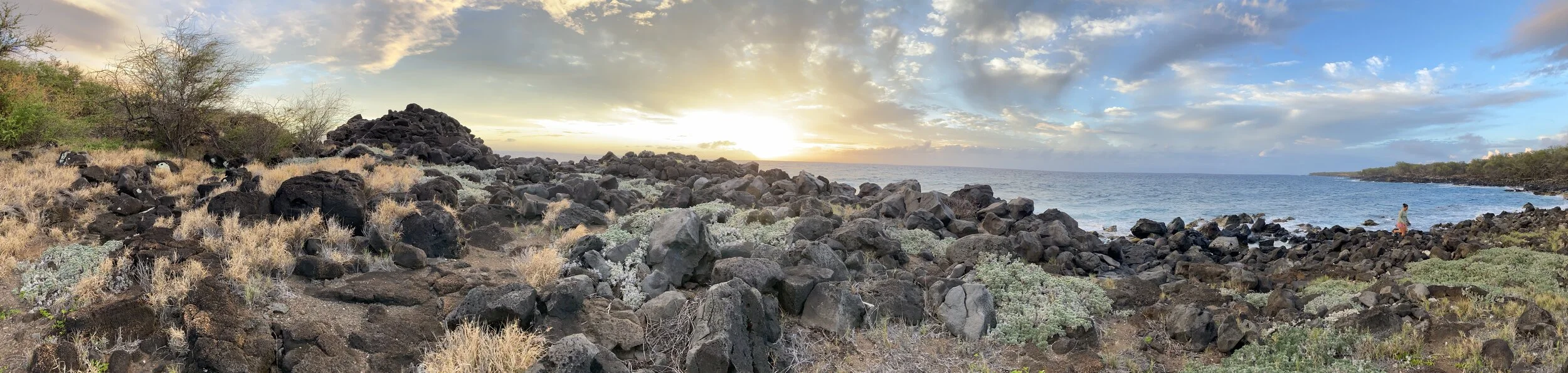 HAWAIʻI NEWS NOW - Hawaiʻi Land Trust gets $4M grant as its seeks to buy 640 acres on Hawaii Island