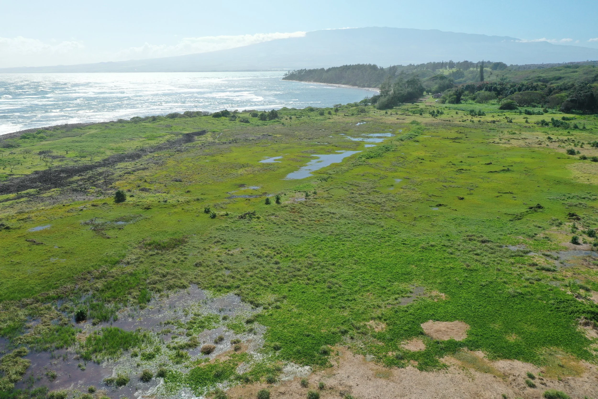 HONOLULU STAR ADVERTISER - Column: He wahi pana ‘o Waihe‘e