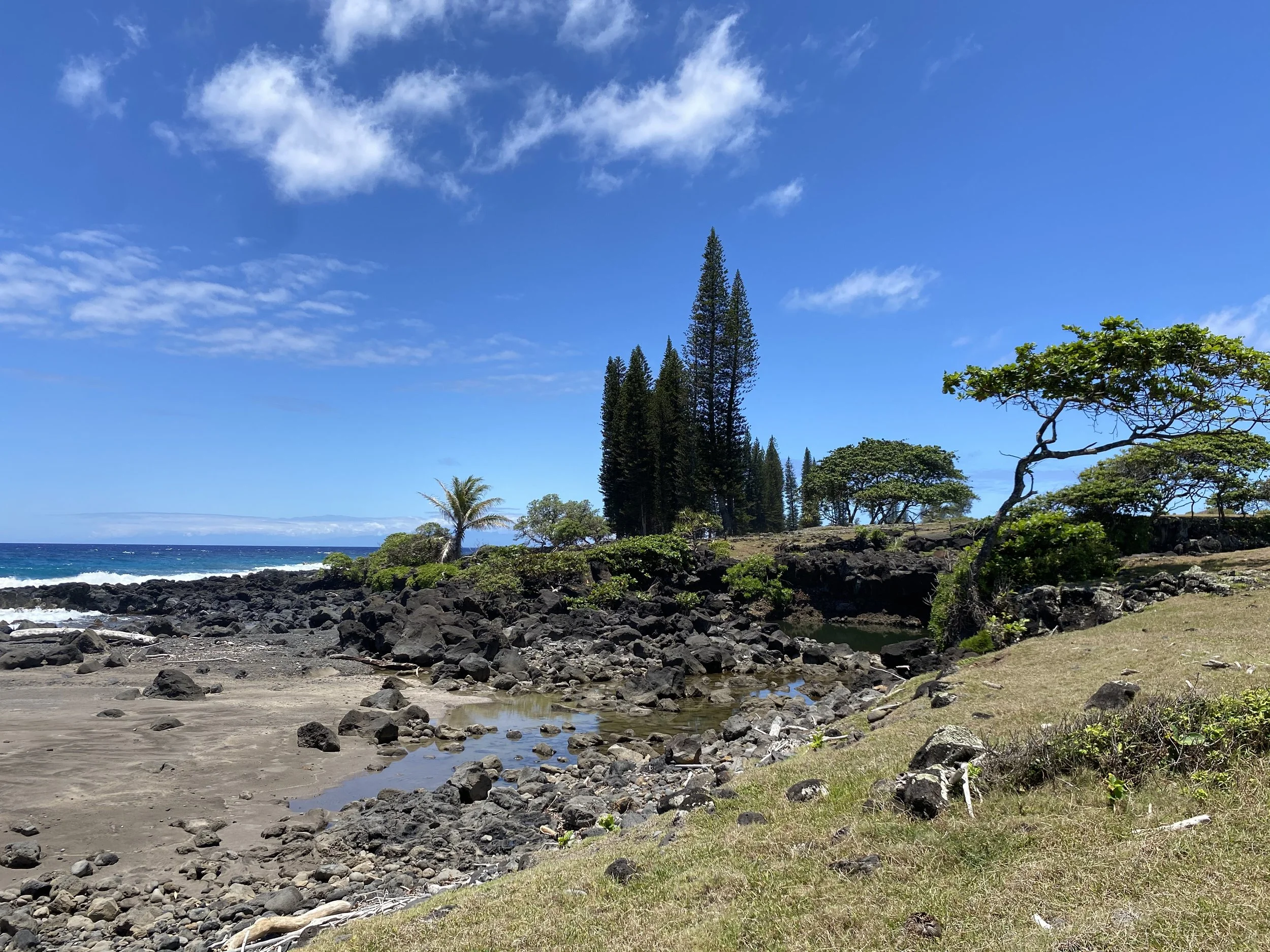 THE MAUI NEWS - East Maui purchase keeps 30 coastal acres from development
