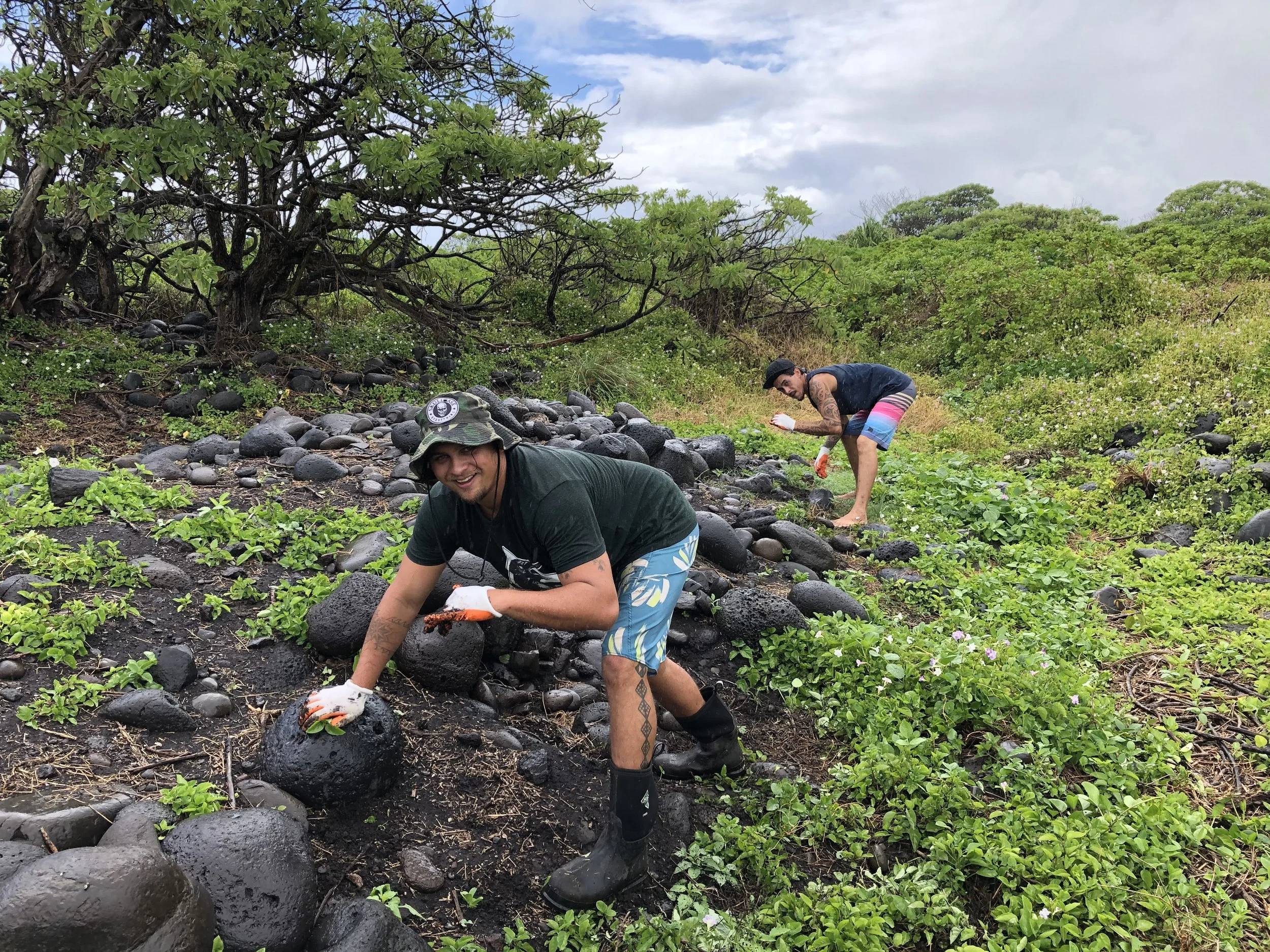 HONOLULU STAR-ADVERTISER - Hawaii Tourism Authority grants help groups perpetuate, steward natural, cultural resources