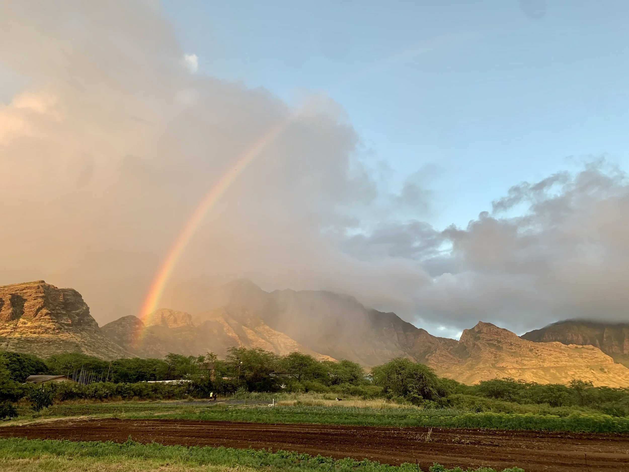 KA WAI OLA - 24 Acres of Waiʻanae Farmland Protected