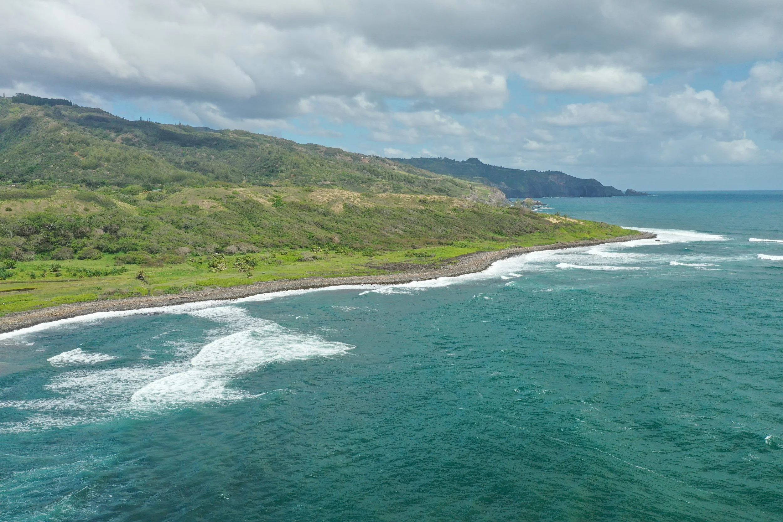 KA WAI OLA - New HILT Appointments