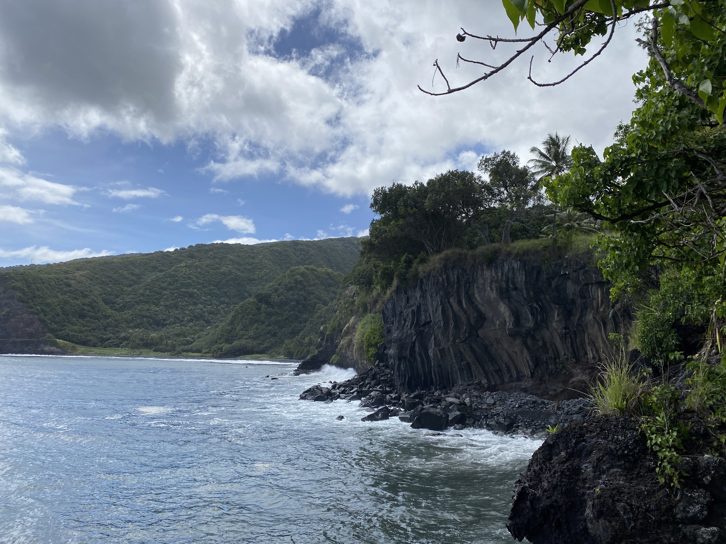 Opelu Point Cliffs. Photo Credit Hawaii Land Trust.JPG