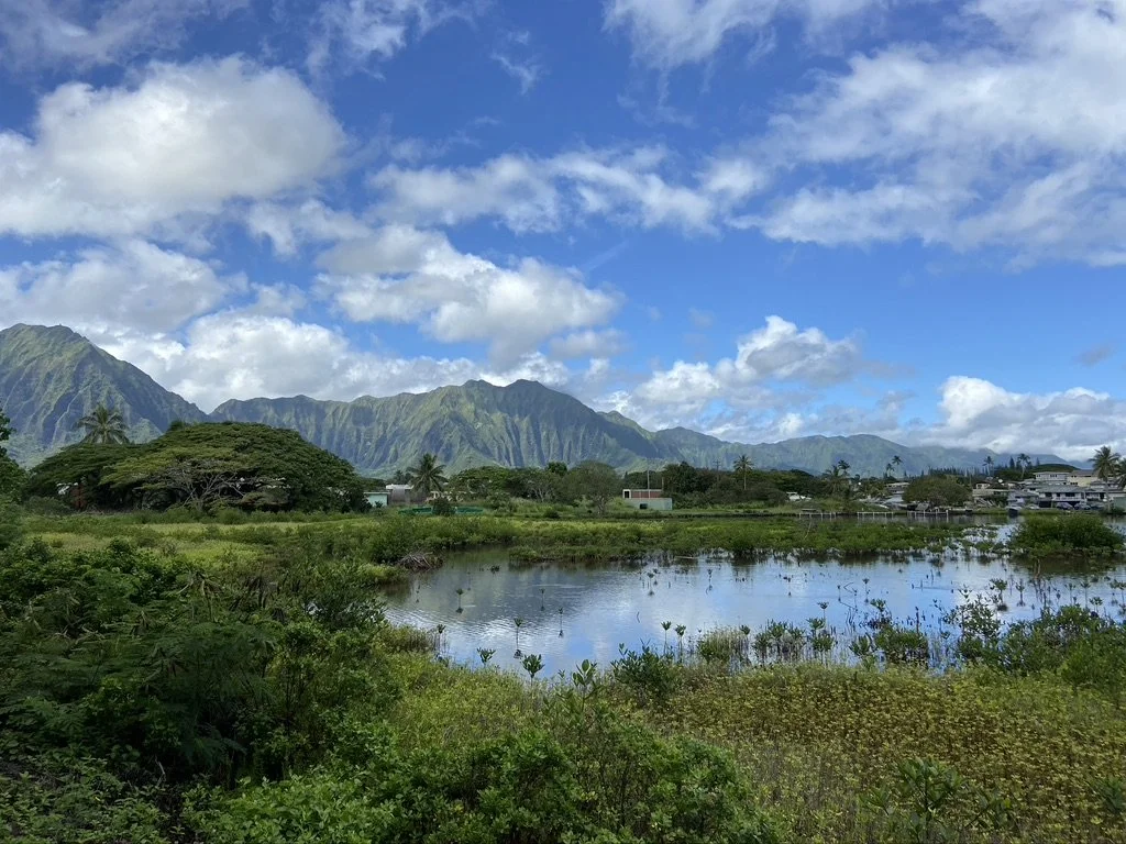 HONOLULU STAR ADVERTISER - Oʻahu Voters to Decide How to Use City Land Conservation Fund