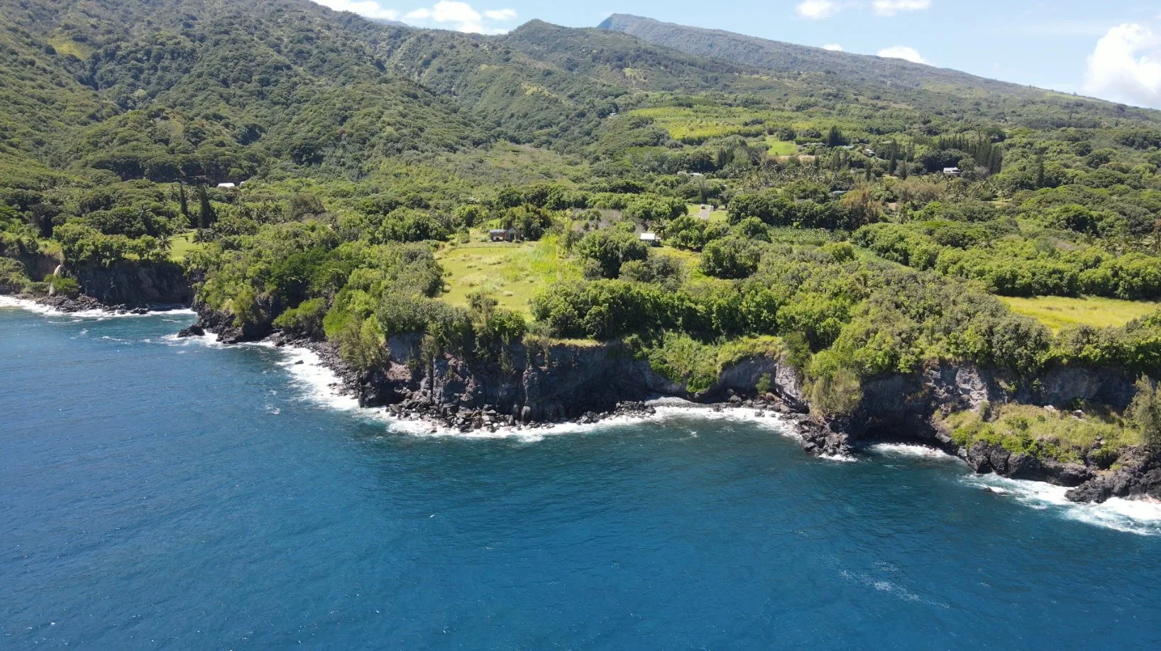 MAUI NOW - 9.5-acres at ʻŌpelu Point in Kīpahulu, Maui is Now Protected in Perpetuity