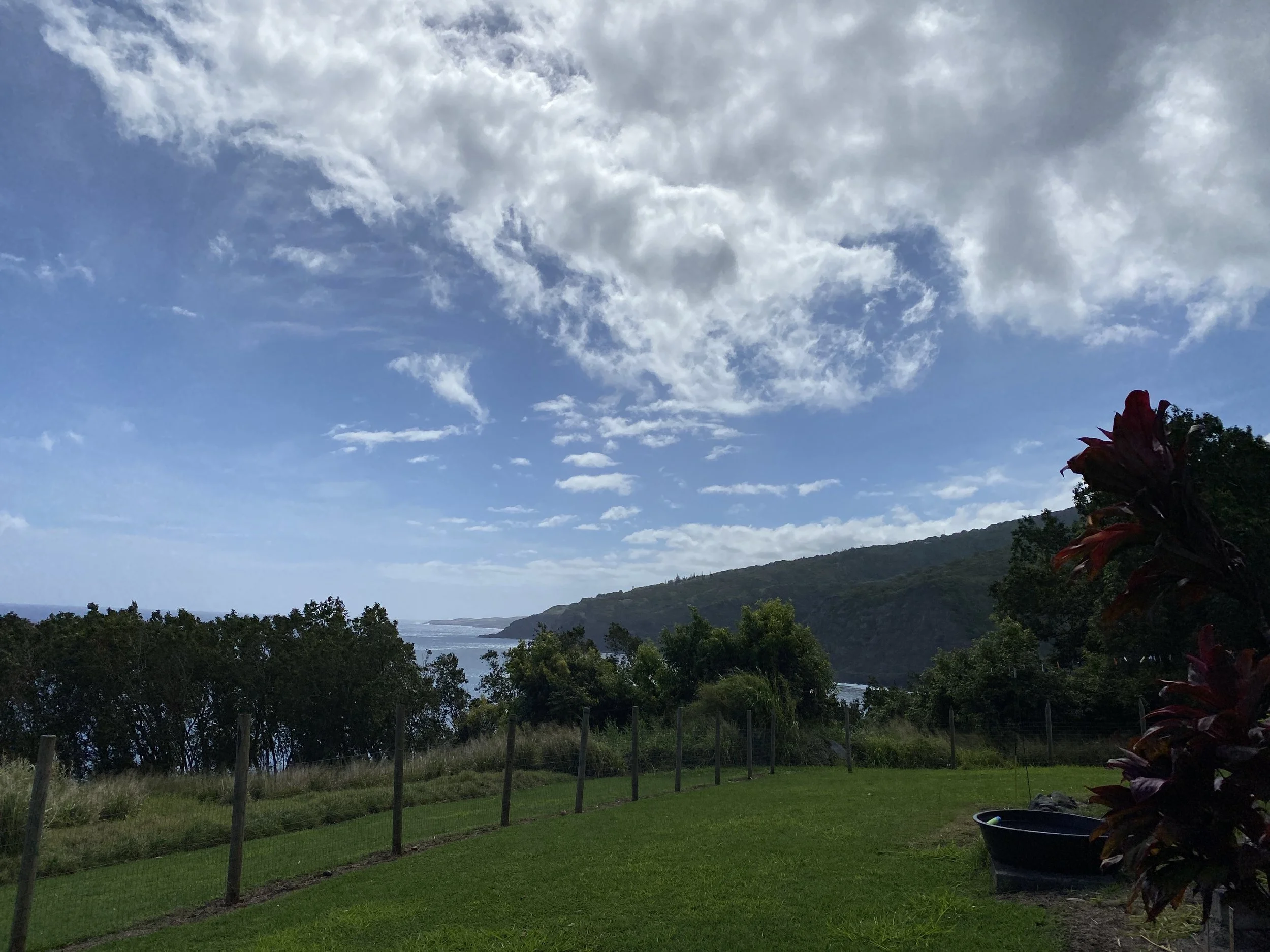 KA WAI OLA - ʻŌpelu Point Purchased for Conservation