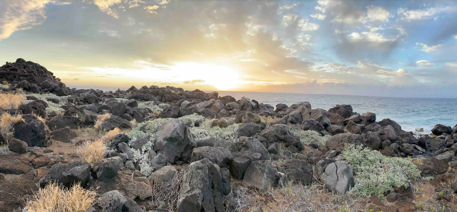 KA WAI OLA: HILT Announces New Hires