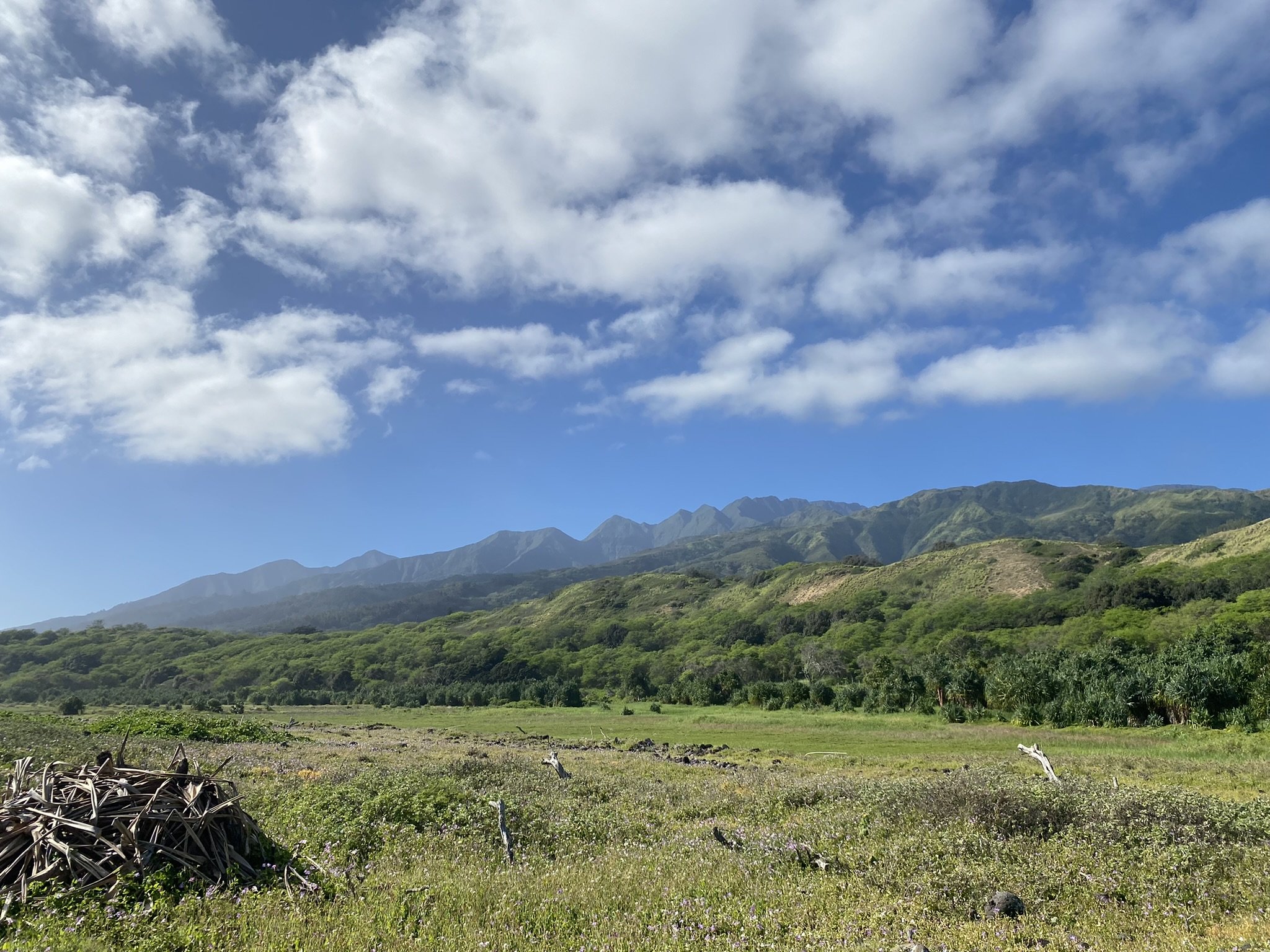 MAUI NEWS NOW: Hawaiʻi Land Trust’s Scott Fisher Earns National Award for Wetlands Work