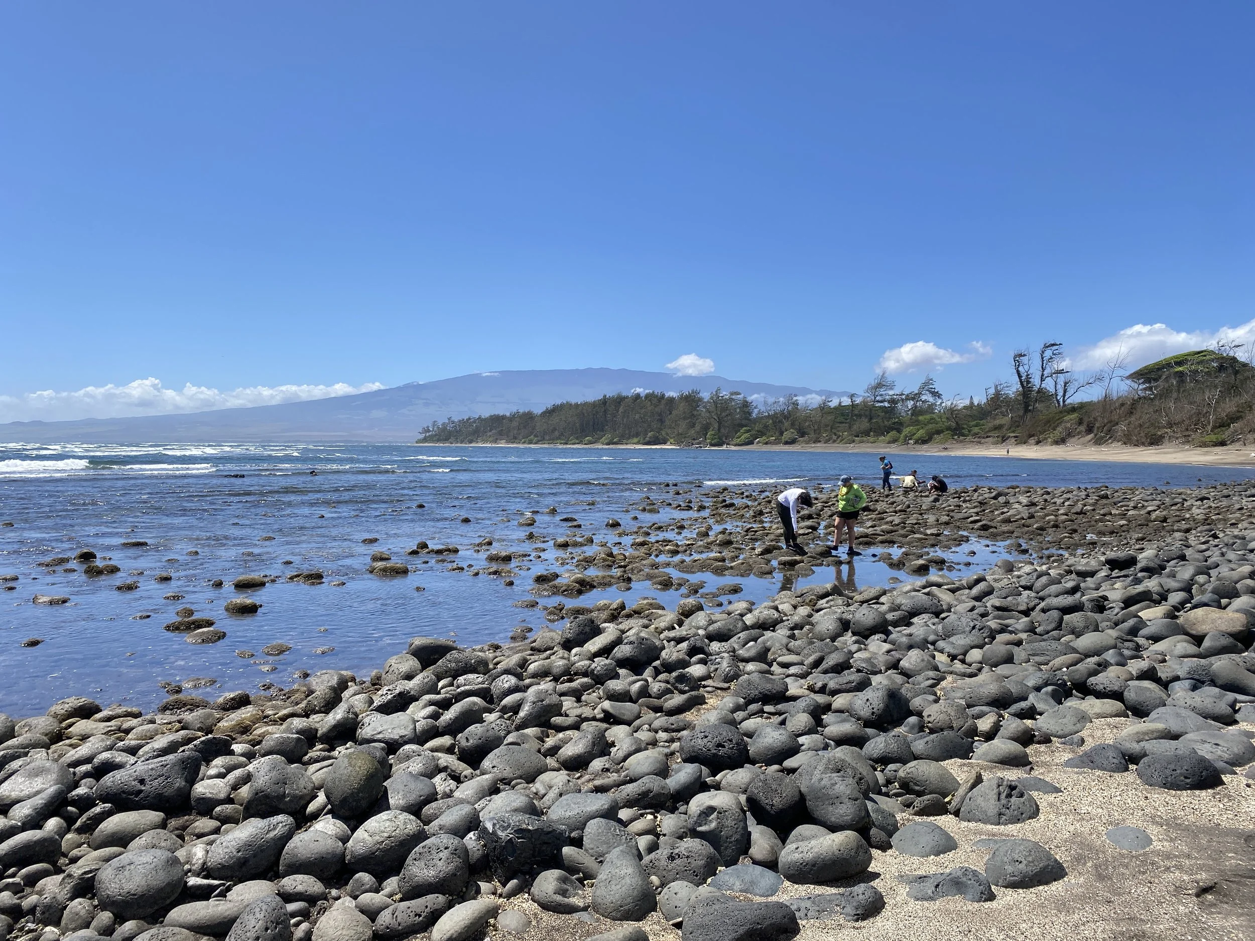 THE MAUI NEWS: Local Briefs