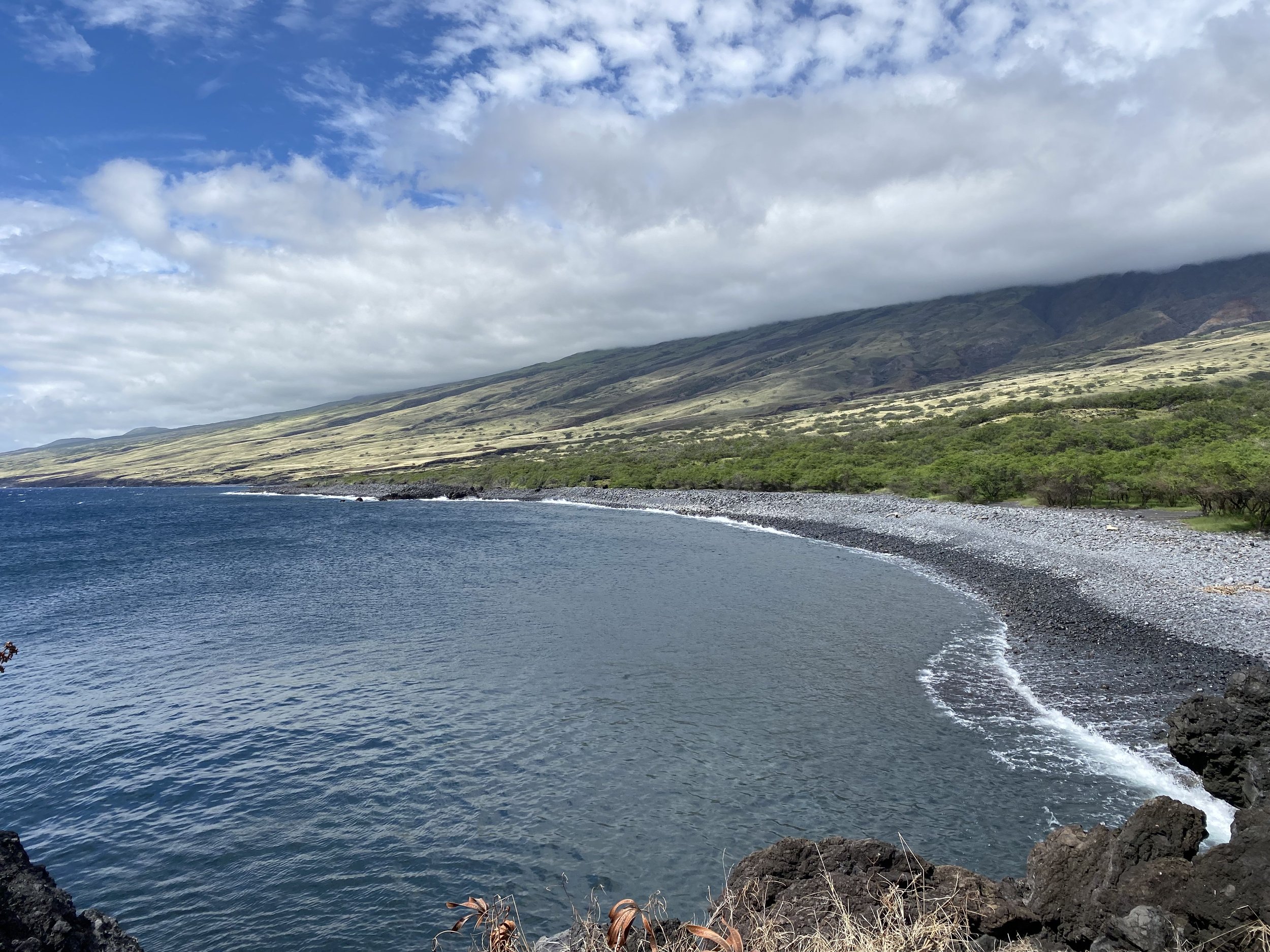 HAWAIʻI NEWS NOW: Maui researchers creating ‘bioshield’ to mitigate impact of future tsunamis