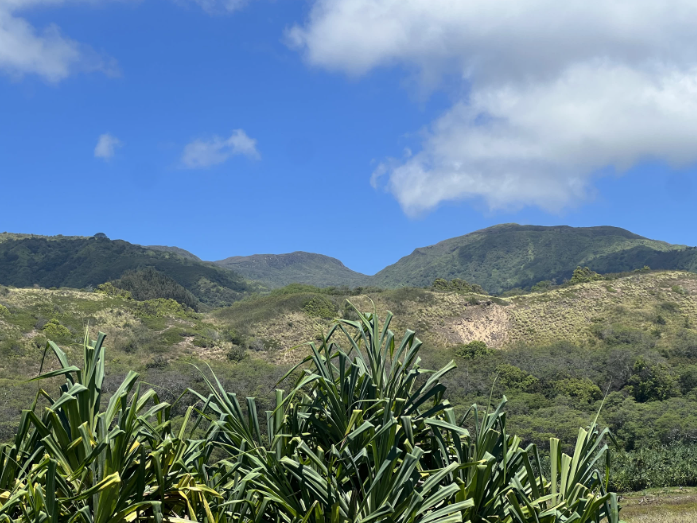 Journeys of Discovery with Tom Wilmer: Hawaiʻi Land Trust - Preservation today for the future