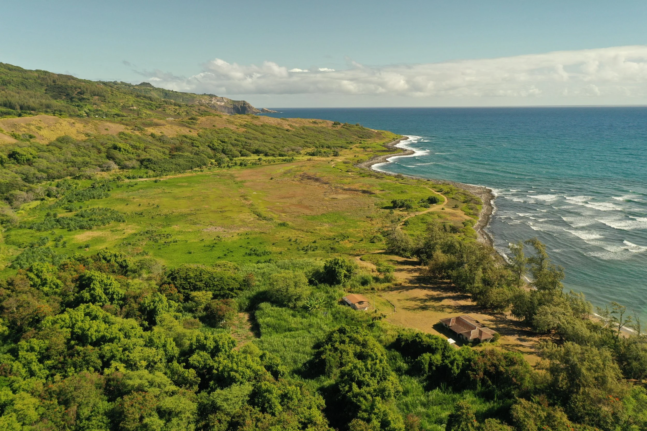 HAWAII PUBLIC RADIO: NOAA awards Waiheʻe Coastal Dune and Wetland Refuge $800K for restoration