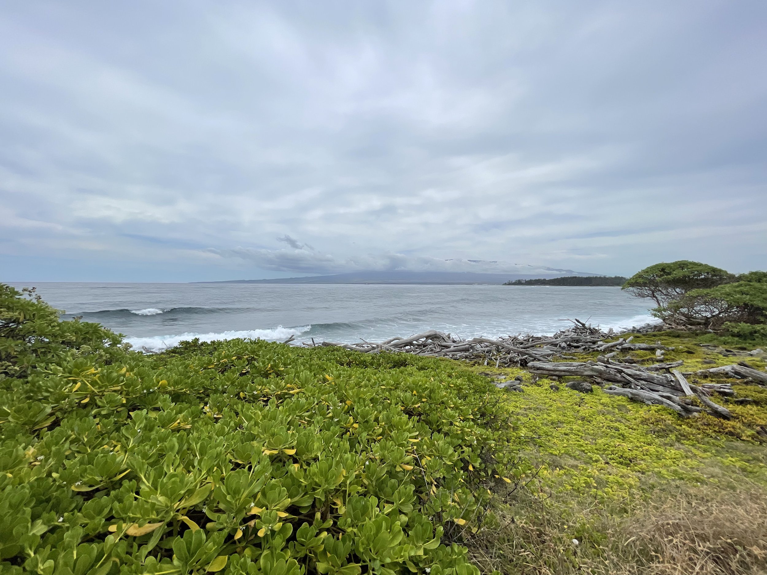 KA WAI OLA NEWS: Hawaiʻi Land Trust Awarded $803,700 Grant from NOAA
