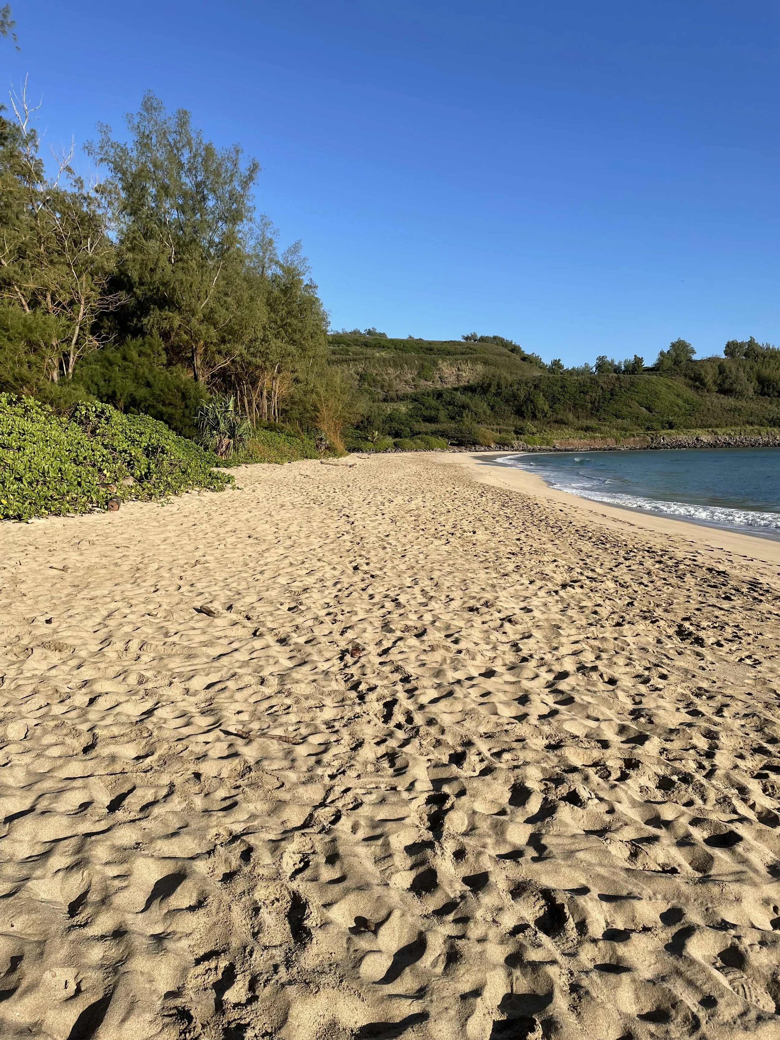 KAUAI MIDWEEK: People on the Move