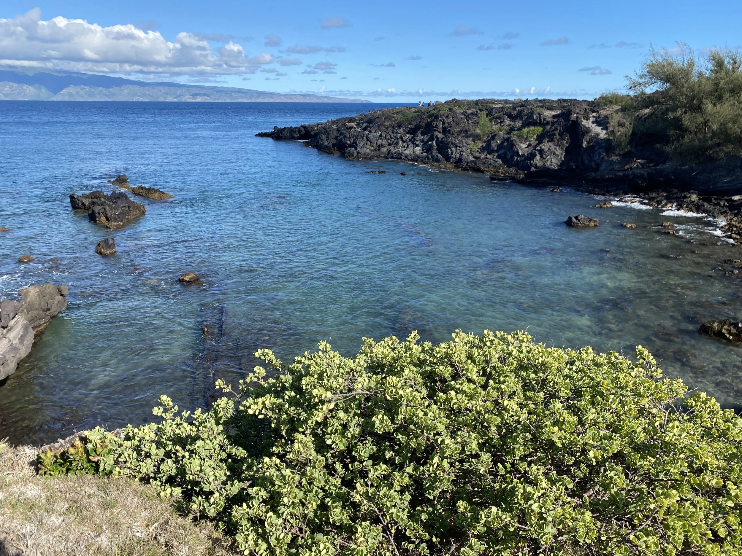 MAUI NOW: Hōʻike o Haleakalā environmental education teach workshop, Oct. 12-13