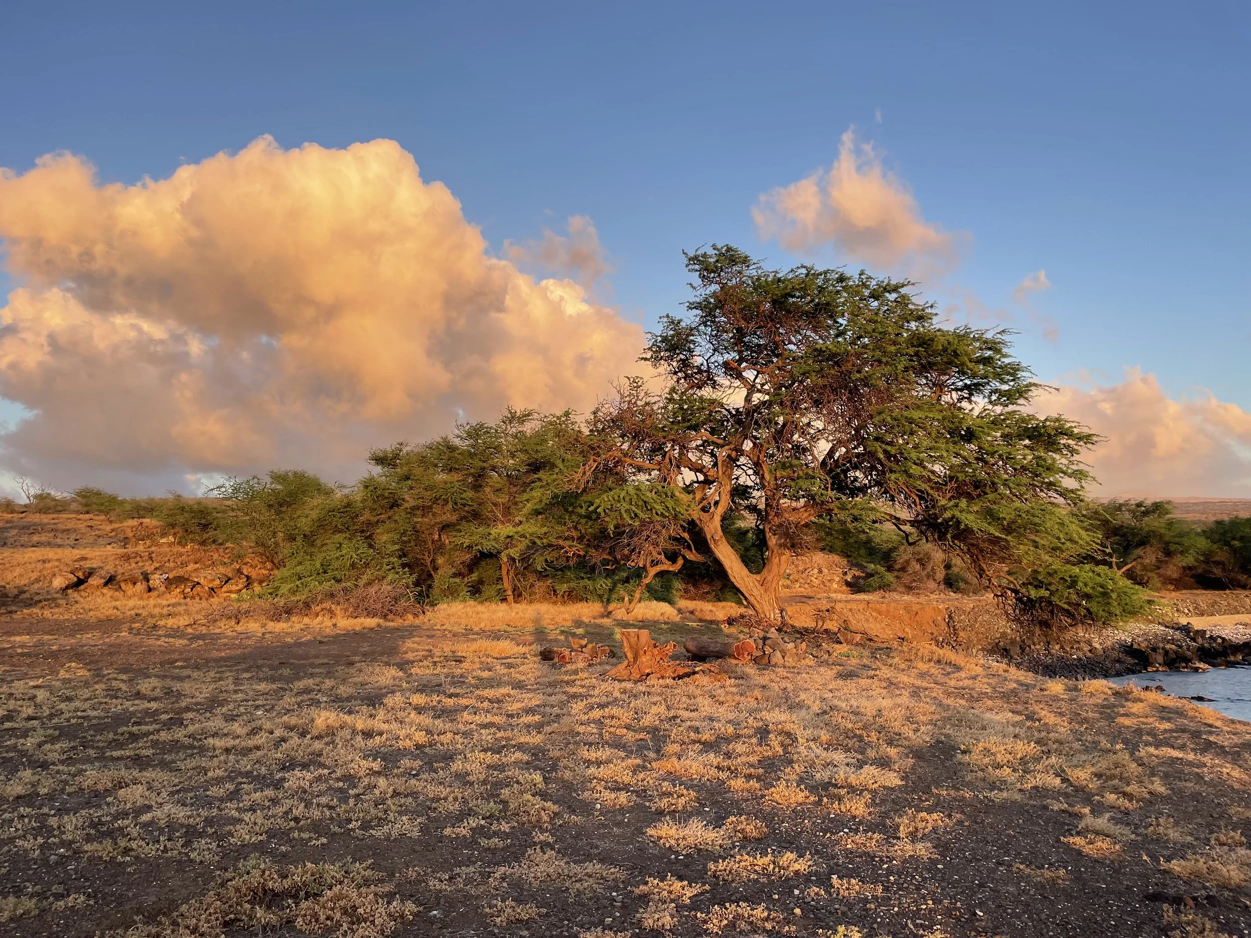 HAWAIʻI TRIBUNE HERALD: Hawaiʻi Land Trust hosts Mahukona Talk Story sessions