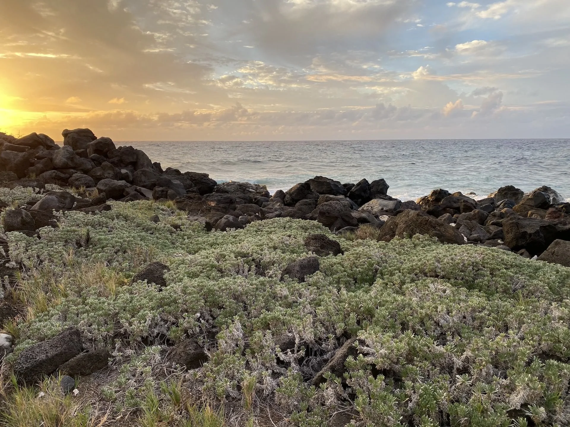 WEST HAWAII TODAY: Hawaii Land Trust hosts Mahukona talk story sessions