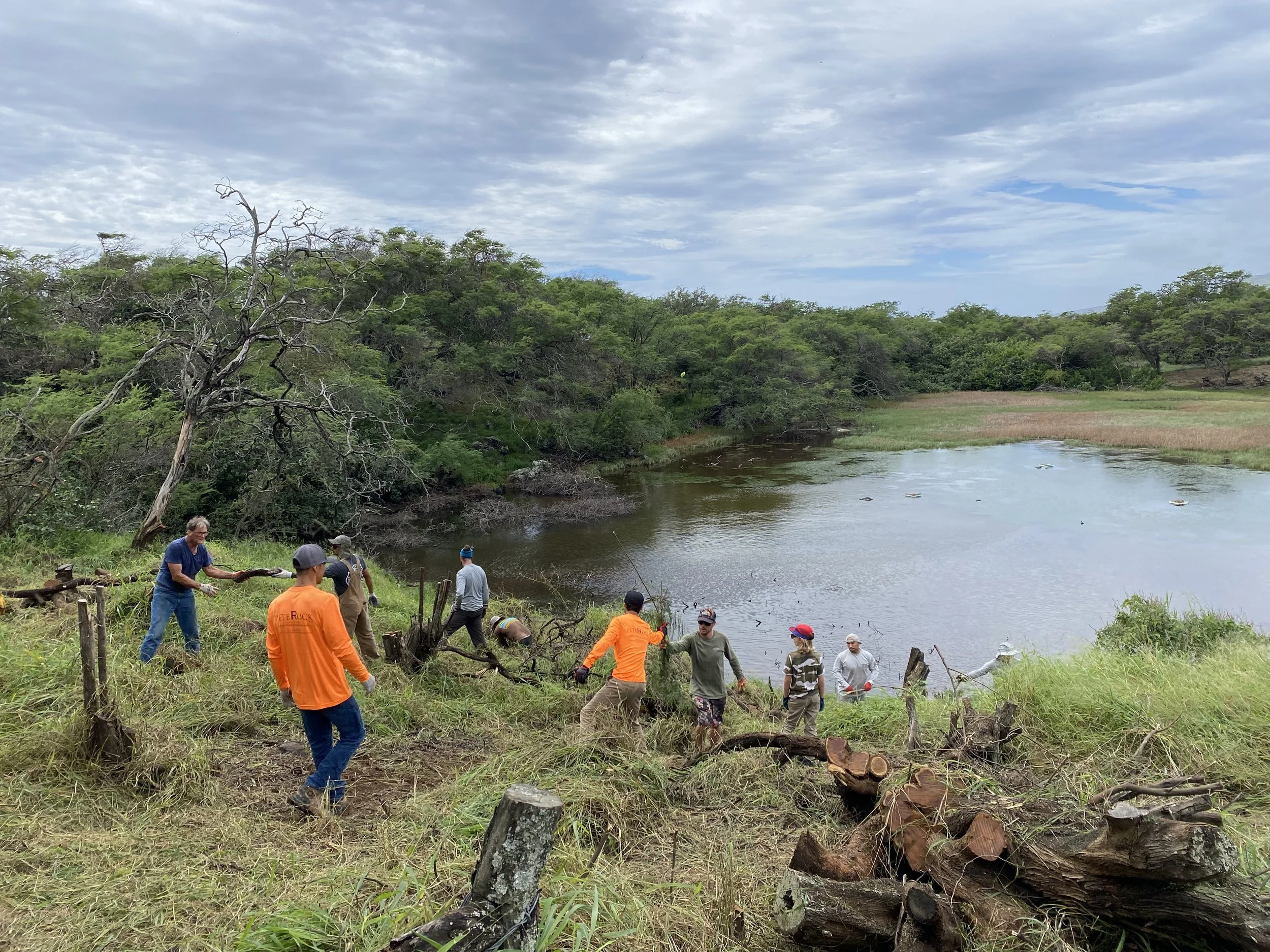 SPECTRUM NEWS: HILT offering temporary conservation positions