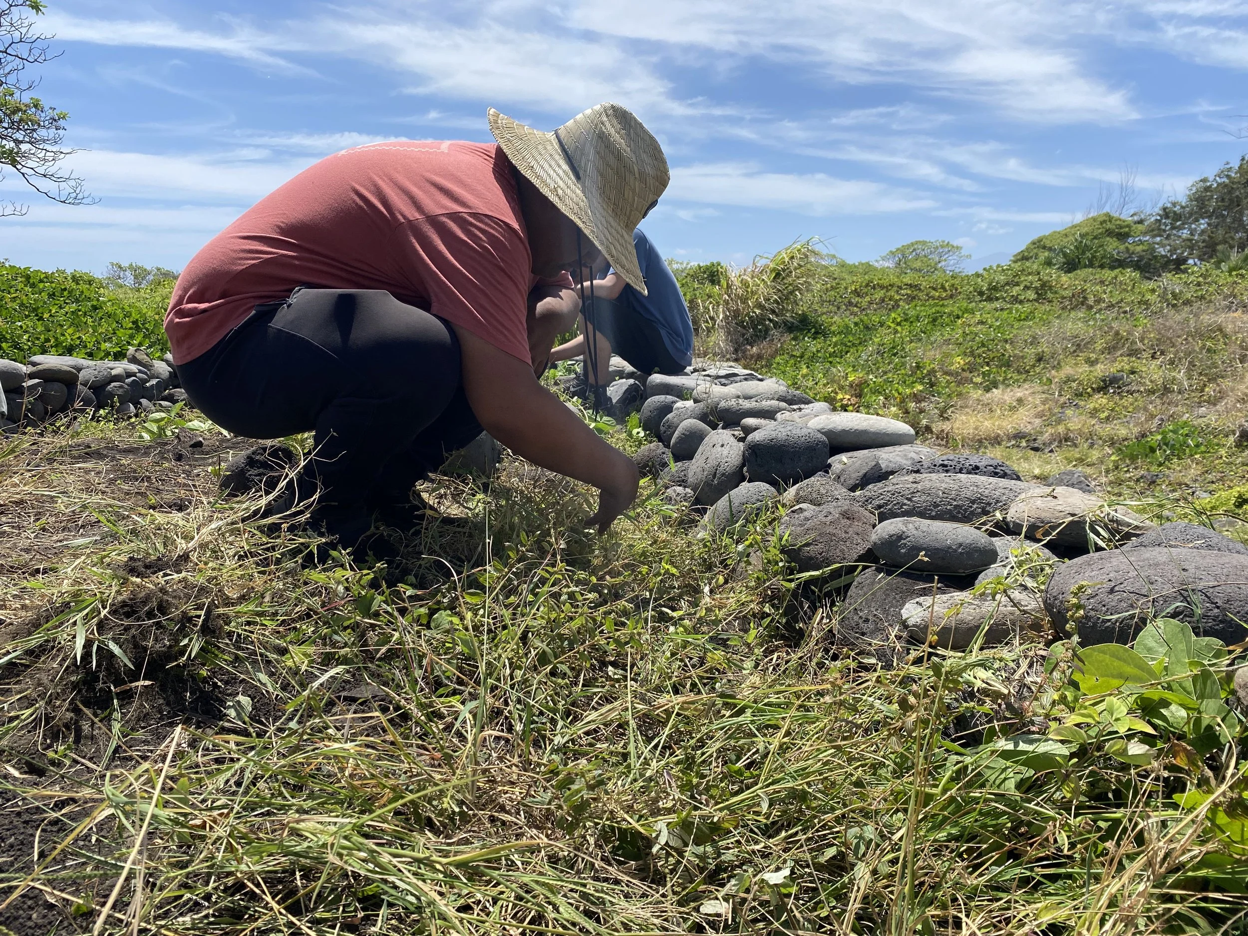 MAUI NOW: Hawaiʻi Land Trust Offers workforce opportunities for wildfire-affected residents