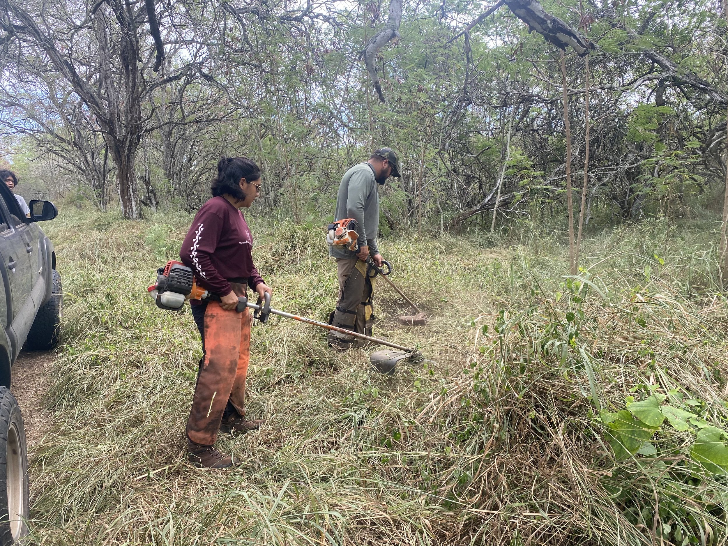 PACIFIC BUSINESS NEWS: HILT &amp; Kupu partner to offer temporary jobs for those affected by Maui fires